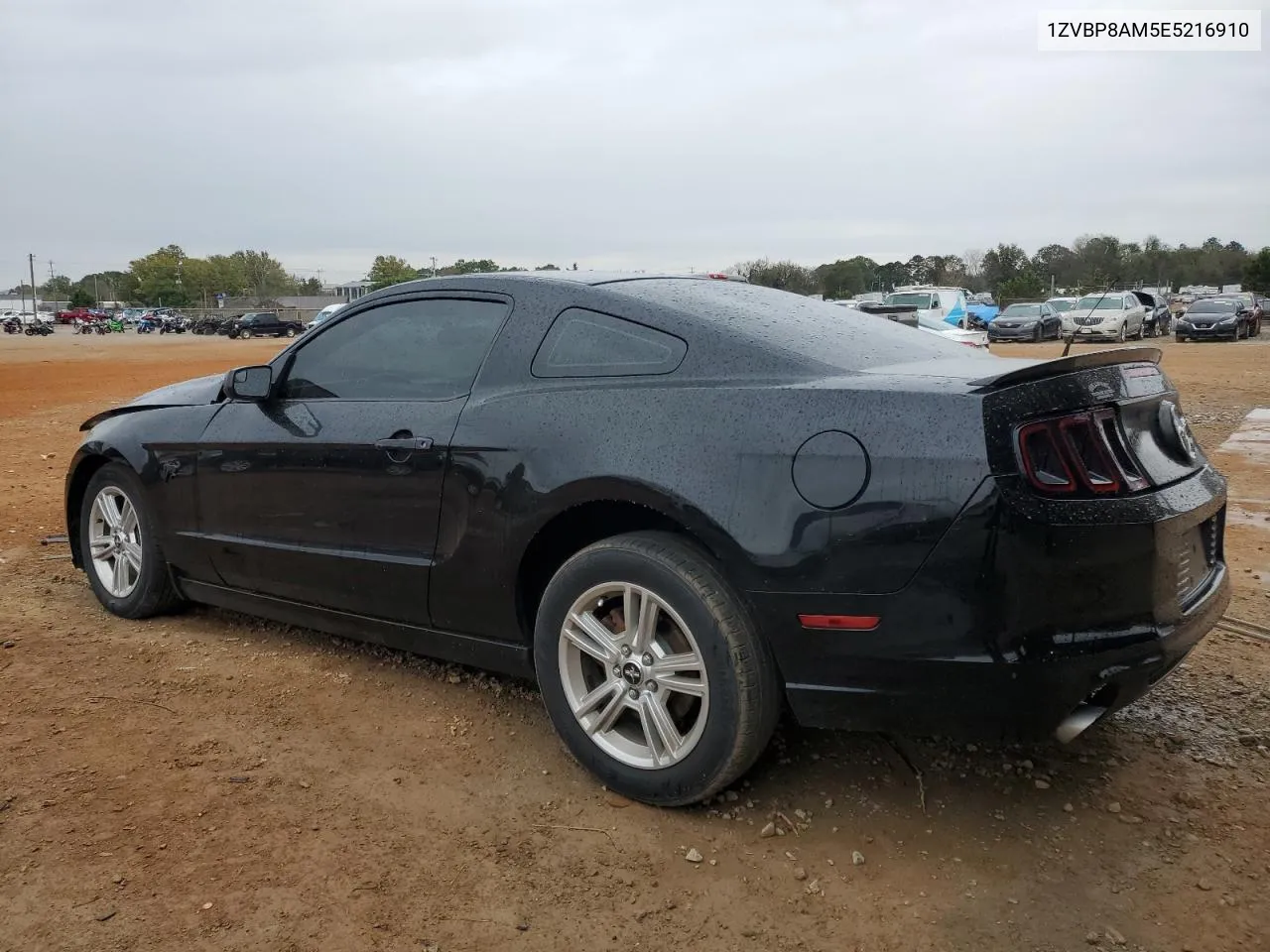 2014 Ford Mustang VIN: 1ZVBP8AM5E5216910 Lot: 80428794