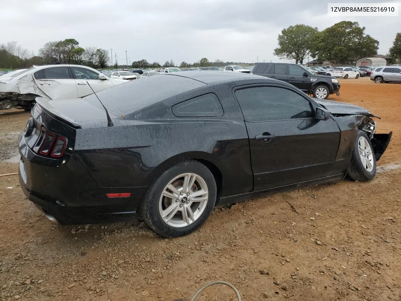 2014 Ford Mustang VIN: 1ZVBP8AM5E5216910 Lot: 80428794