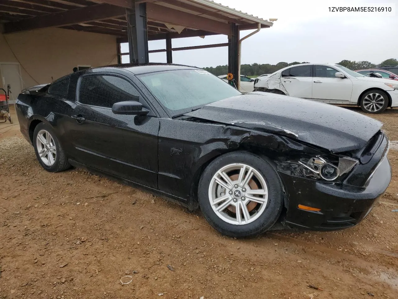 2014 Ford Mustang VIN: 1ZVBP8AM5E5216910 Lot: 80428794