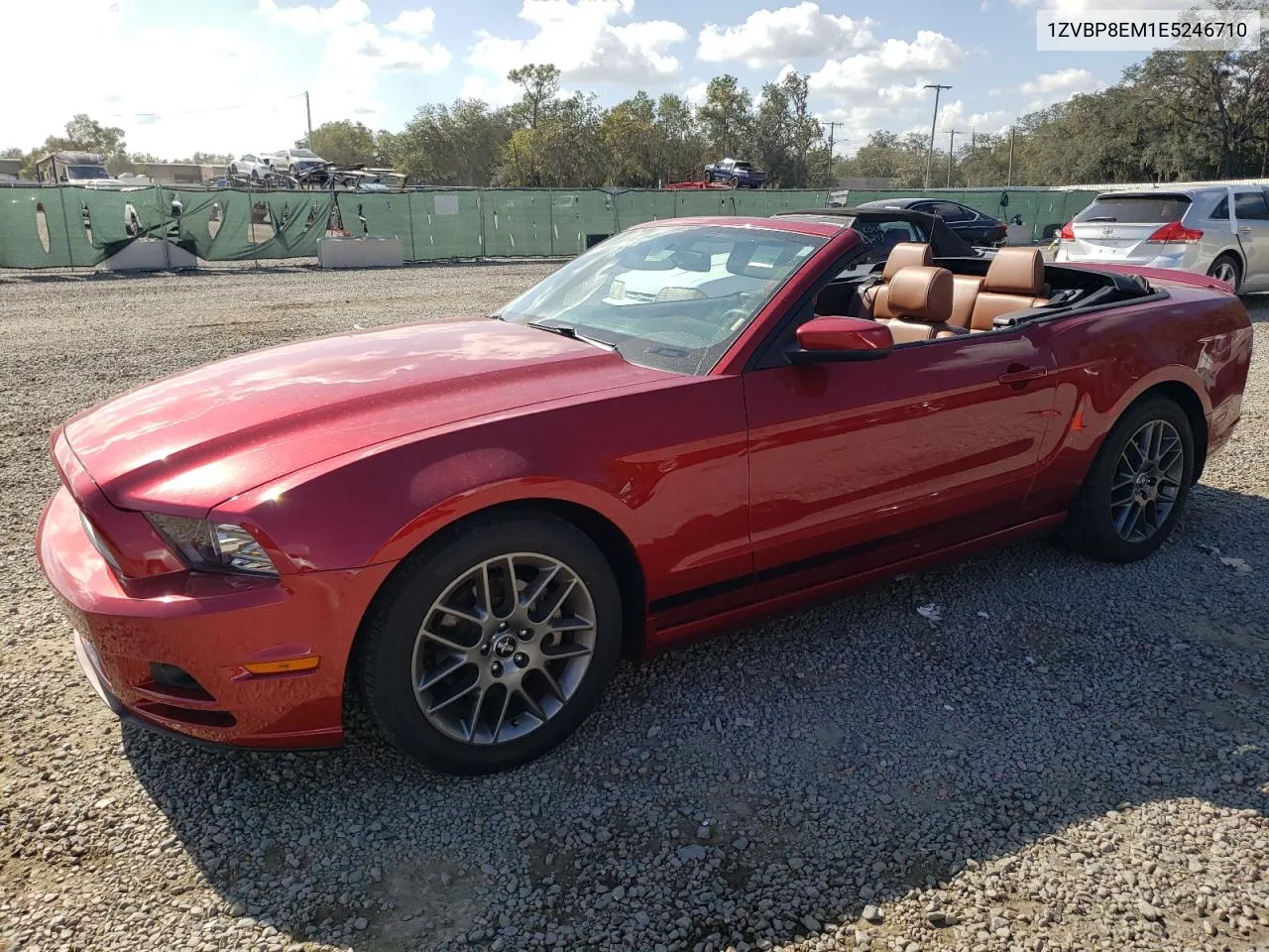 2014 Ford Mustang VIN: 1ZVBP8EM1E5246710 Lot: 80566194