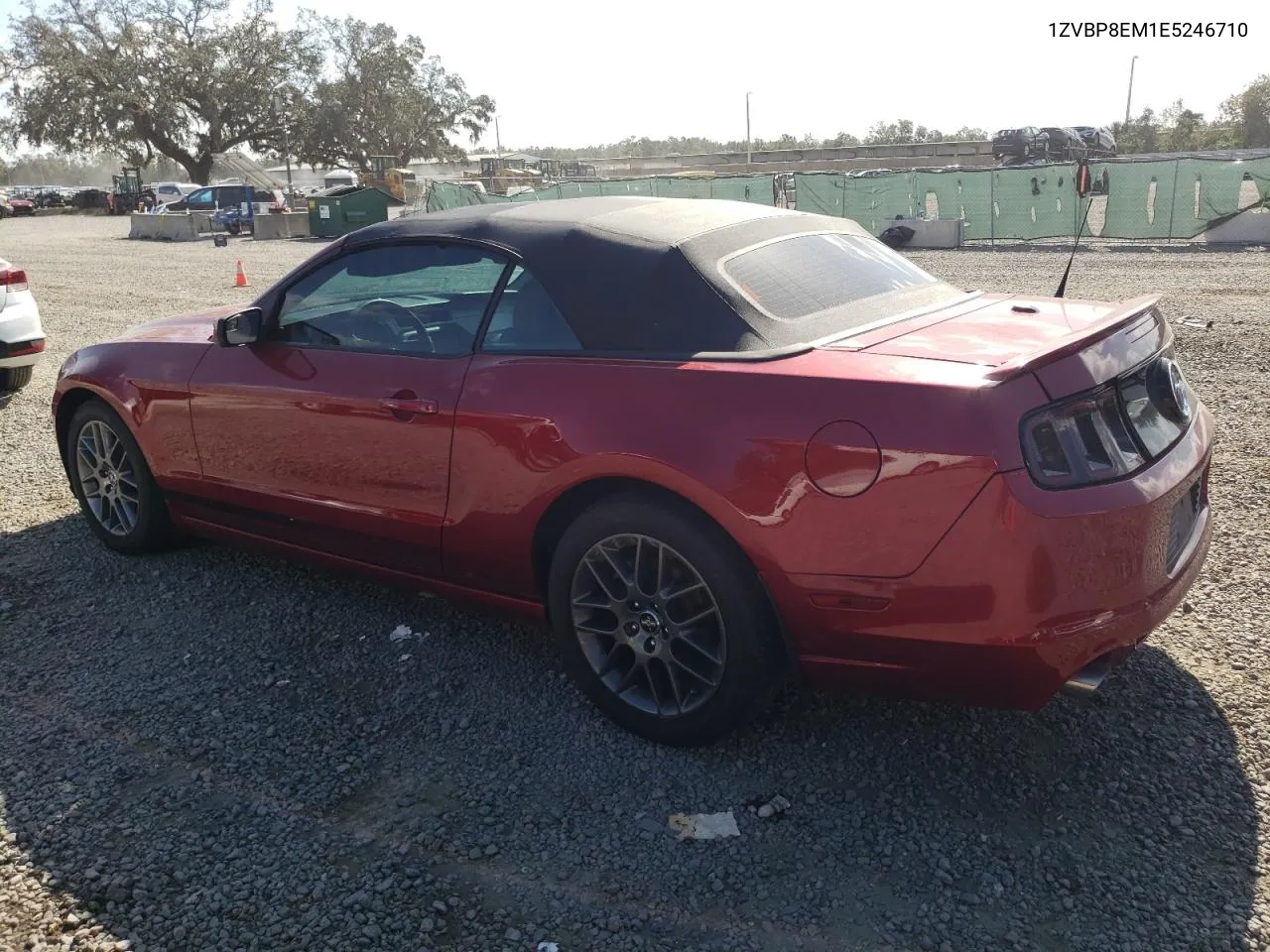 2014 Ford Mustang VIN: 1ZVBP8EM1E5246710 Lot: 80566194