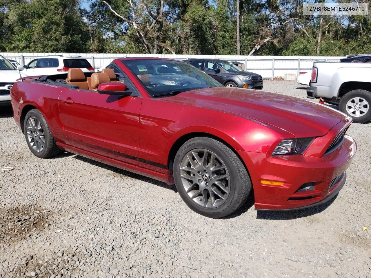 2014 Ford Mustang VIN: 1ZVBP8EM1E5246710 Lot: 80566194