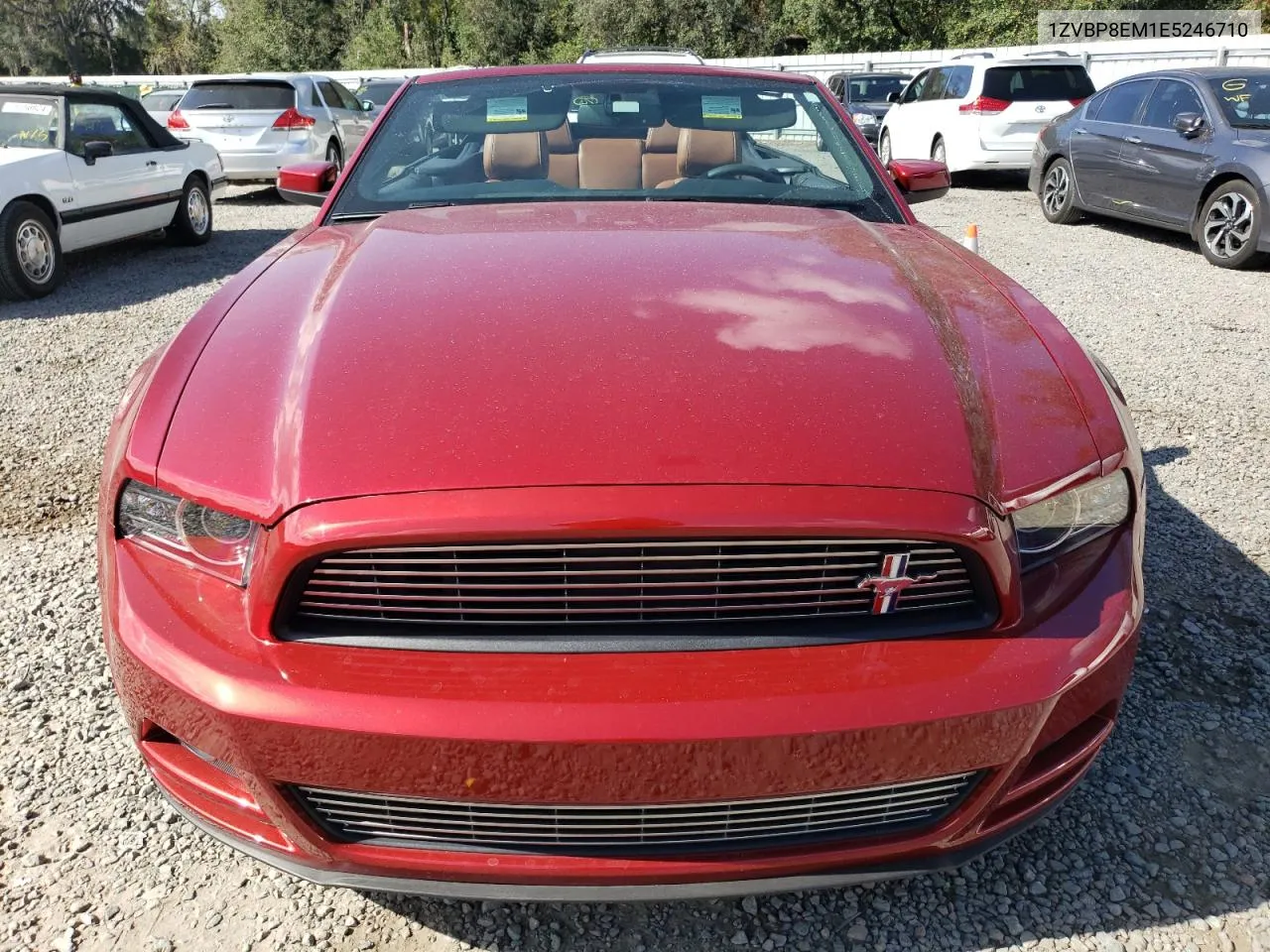 2014 Ford Mustang VIN: 1ZVBP8EM1E5246710 Lot: 80566194