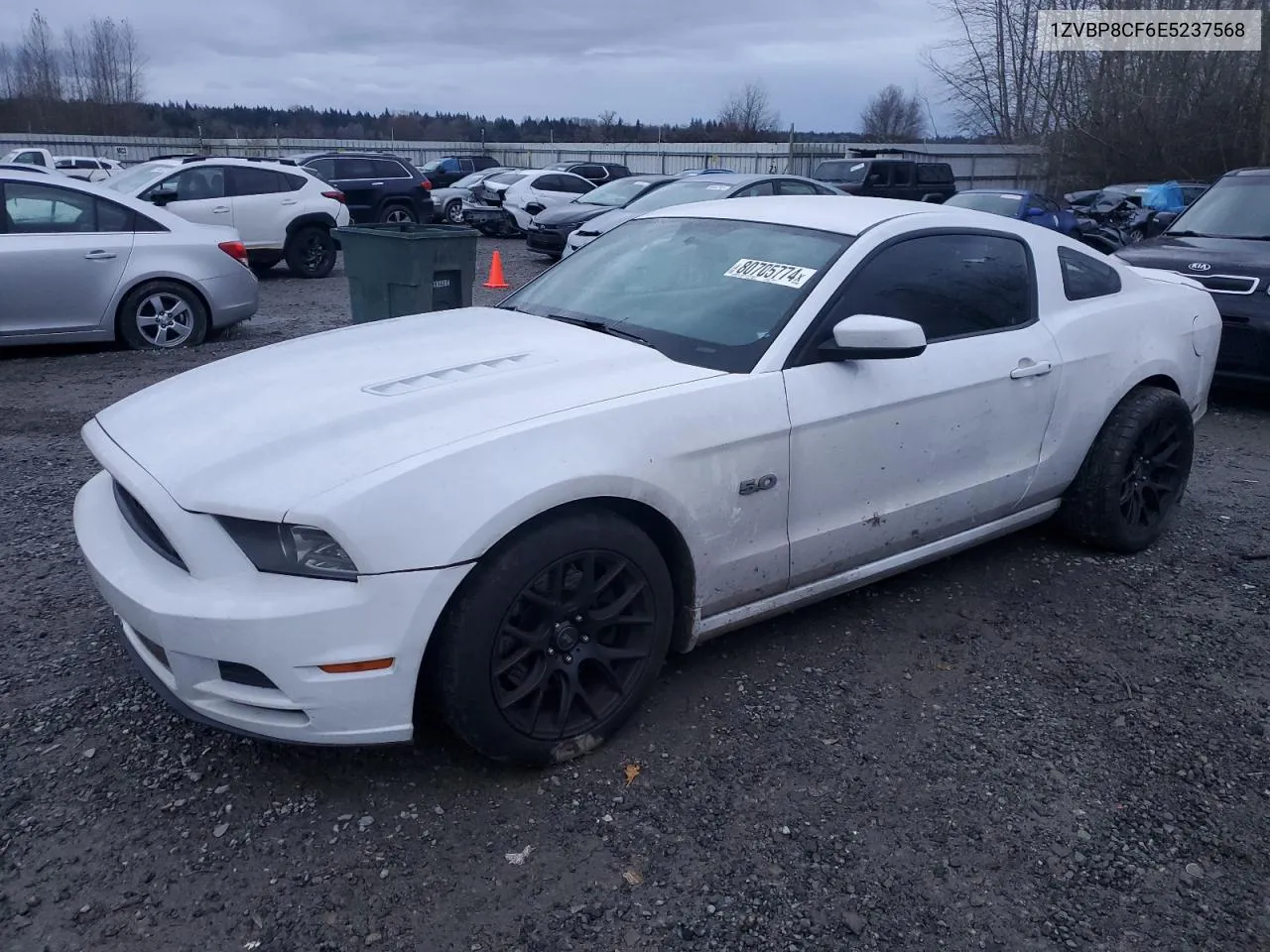 2014 Ford Mustang Gt VIN: 1ZVBP8CF6E5237568 Lot: 80705774