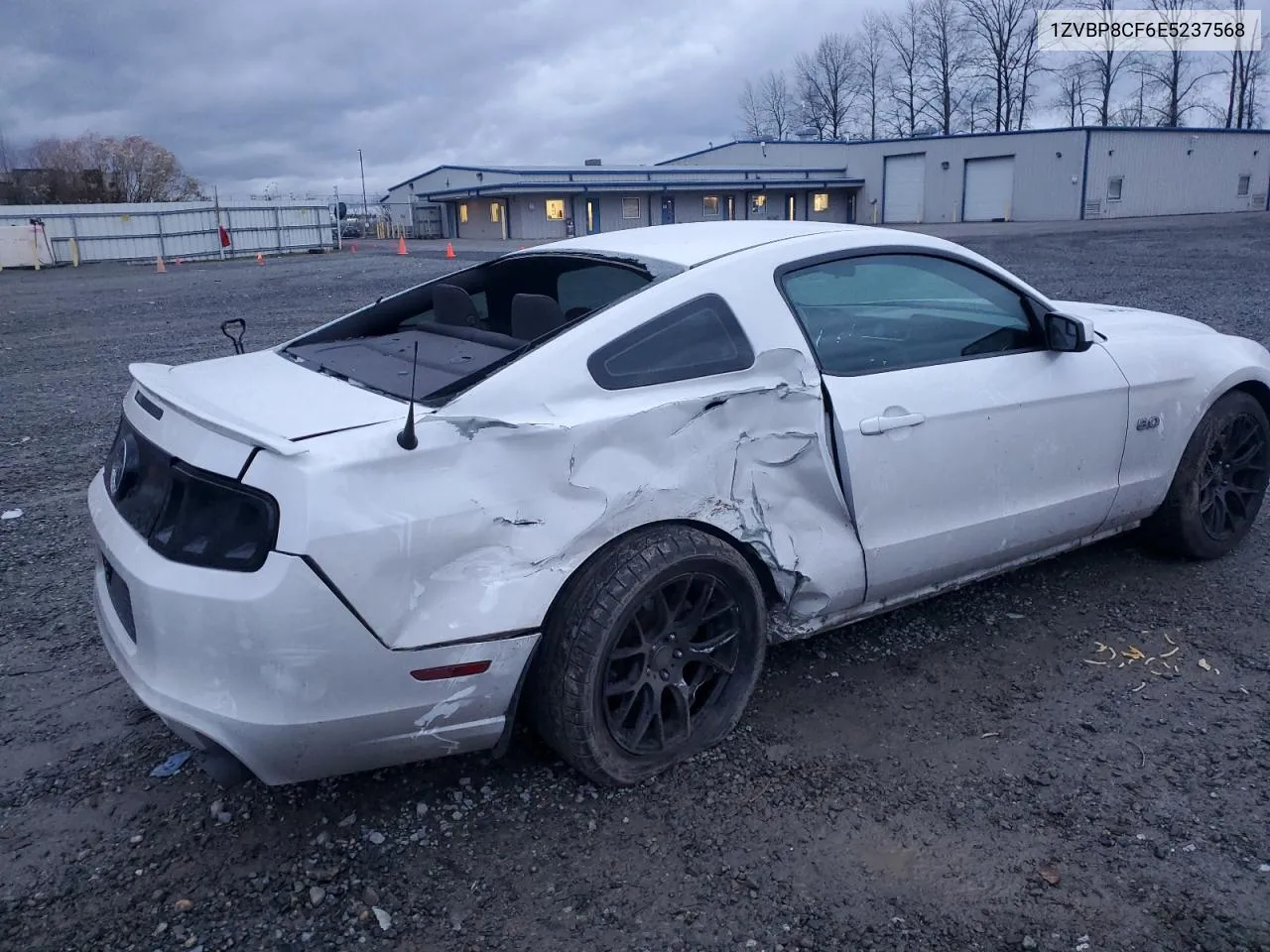 2014 Ford Mustang Gt VIN: 1ZVBP8CF6E5237568 Lot: 80705774