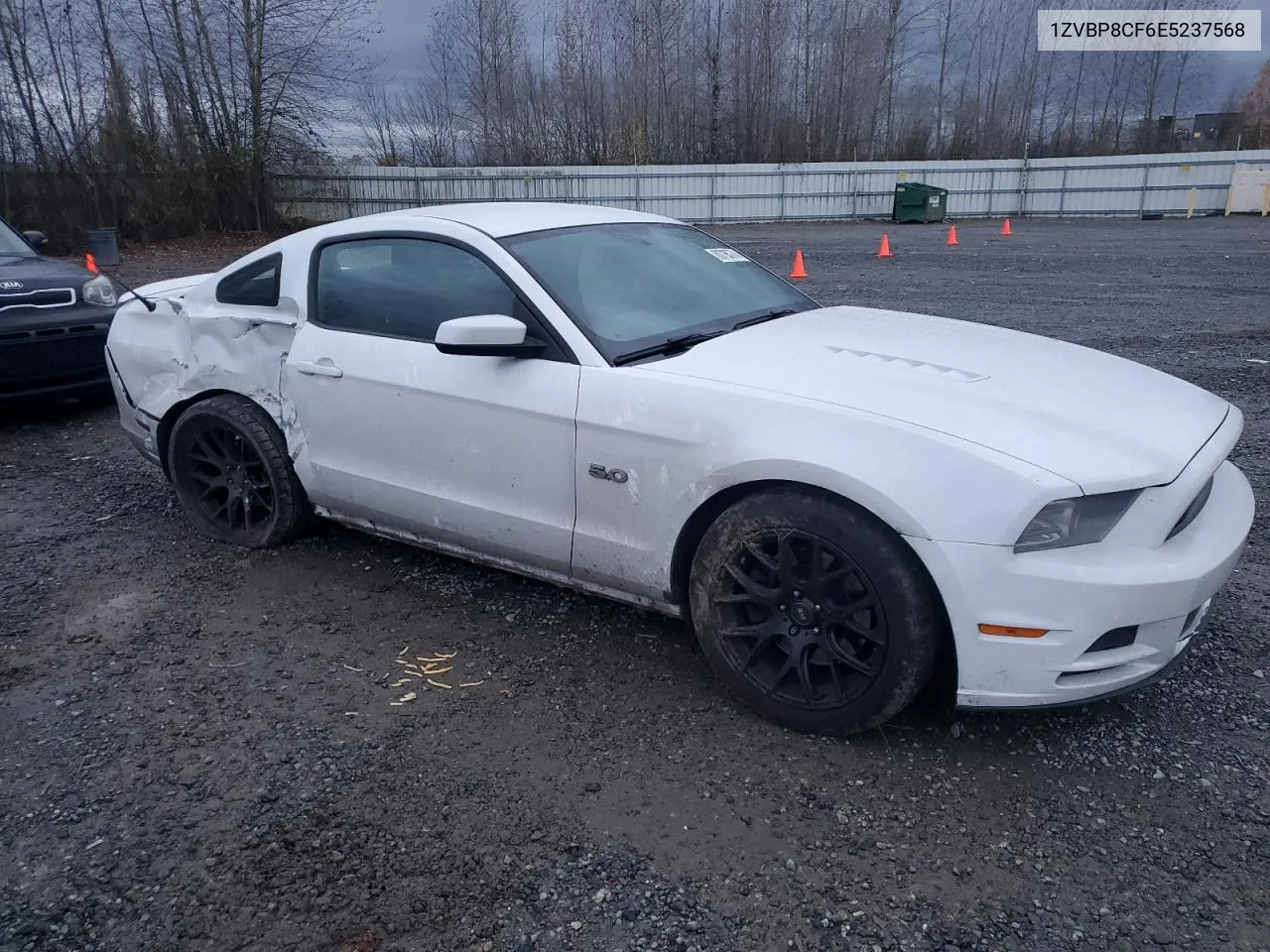 2014 Ford Mustang Gt VIN: 1ZVBP8CF6E5237568 Lot: 80705774