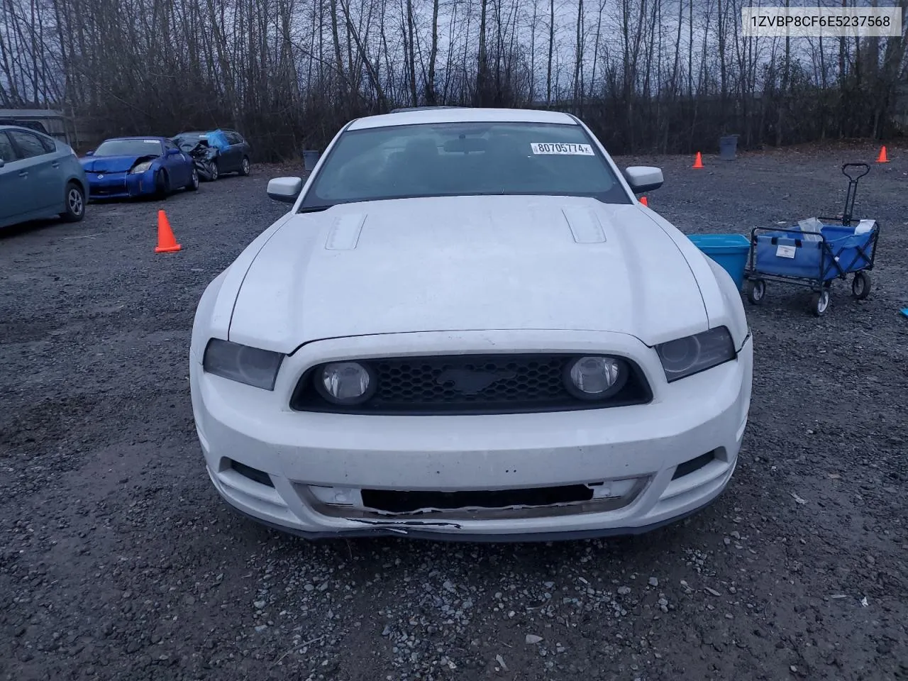 2014 Ford Mustang Gt VIN: 1ZVBP8CF6E5237568 Lot: 80705774