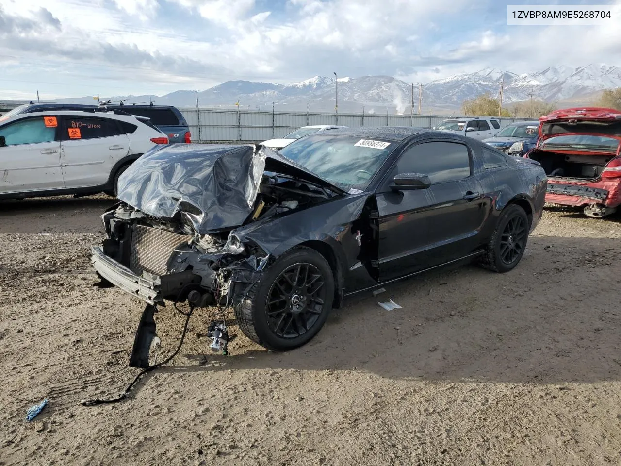 2014 Ford Mustang VIN: 1ZVBP8AM9E5268704 Lot: 80988374