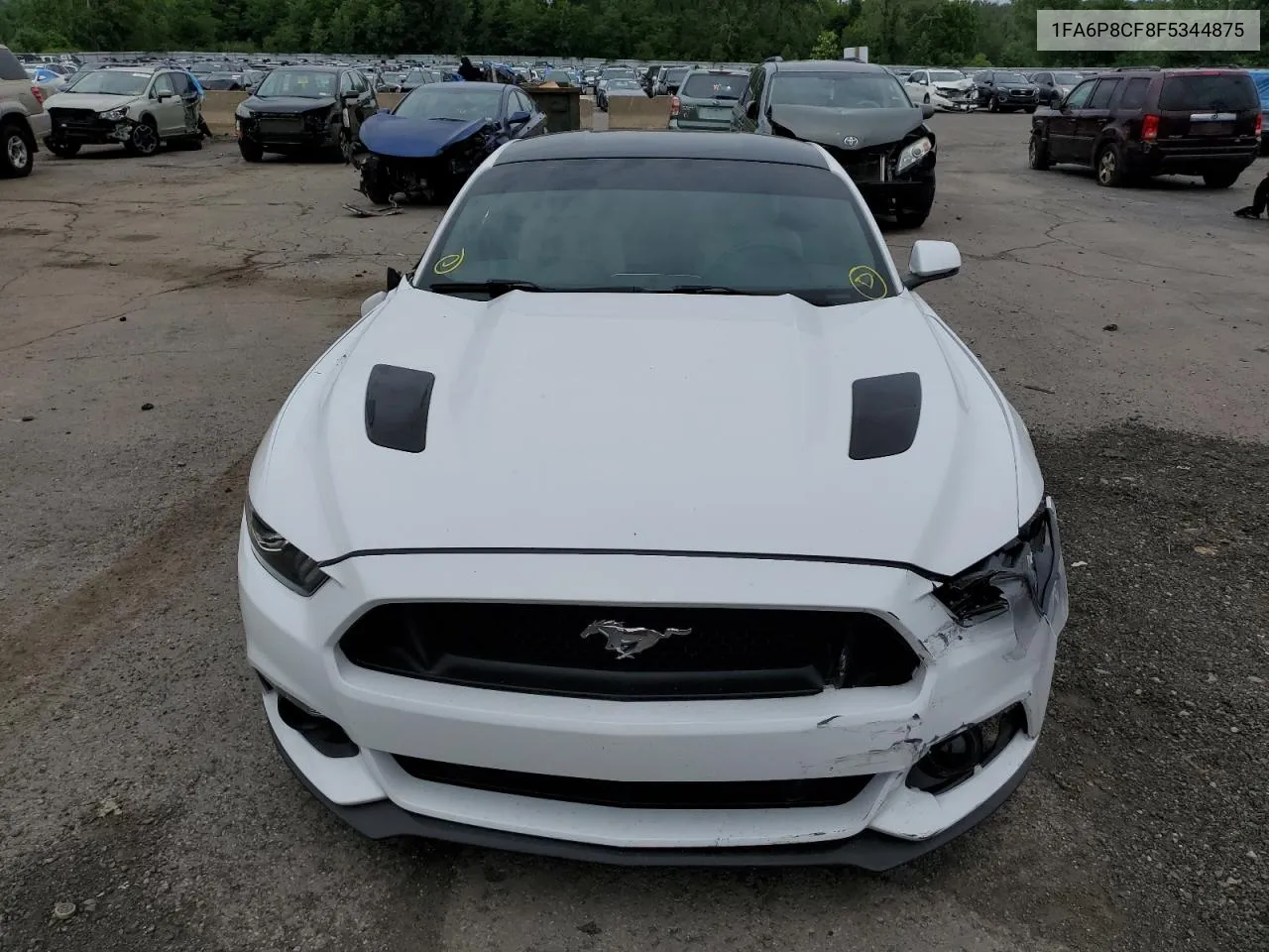 2015 Ford Mustang Gt VIN: 1FA6P8CF8F5344875 Lot: 56394623