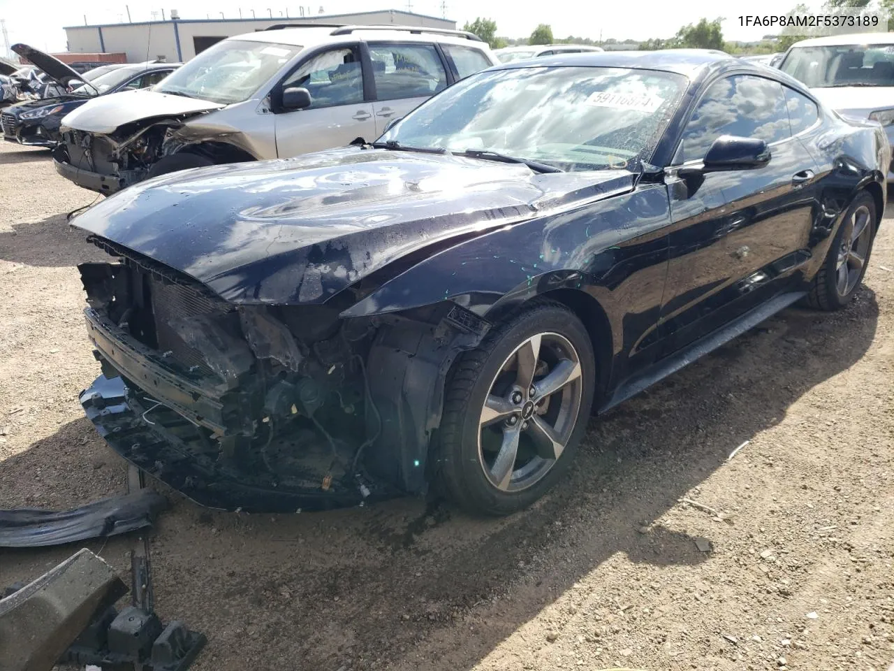 1FA6P8AM2F5373189 2015 Ford Mustang