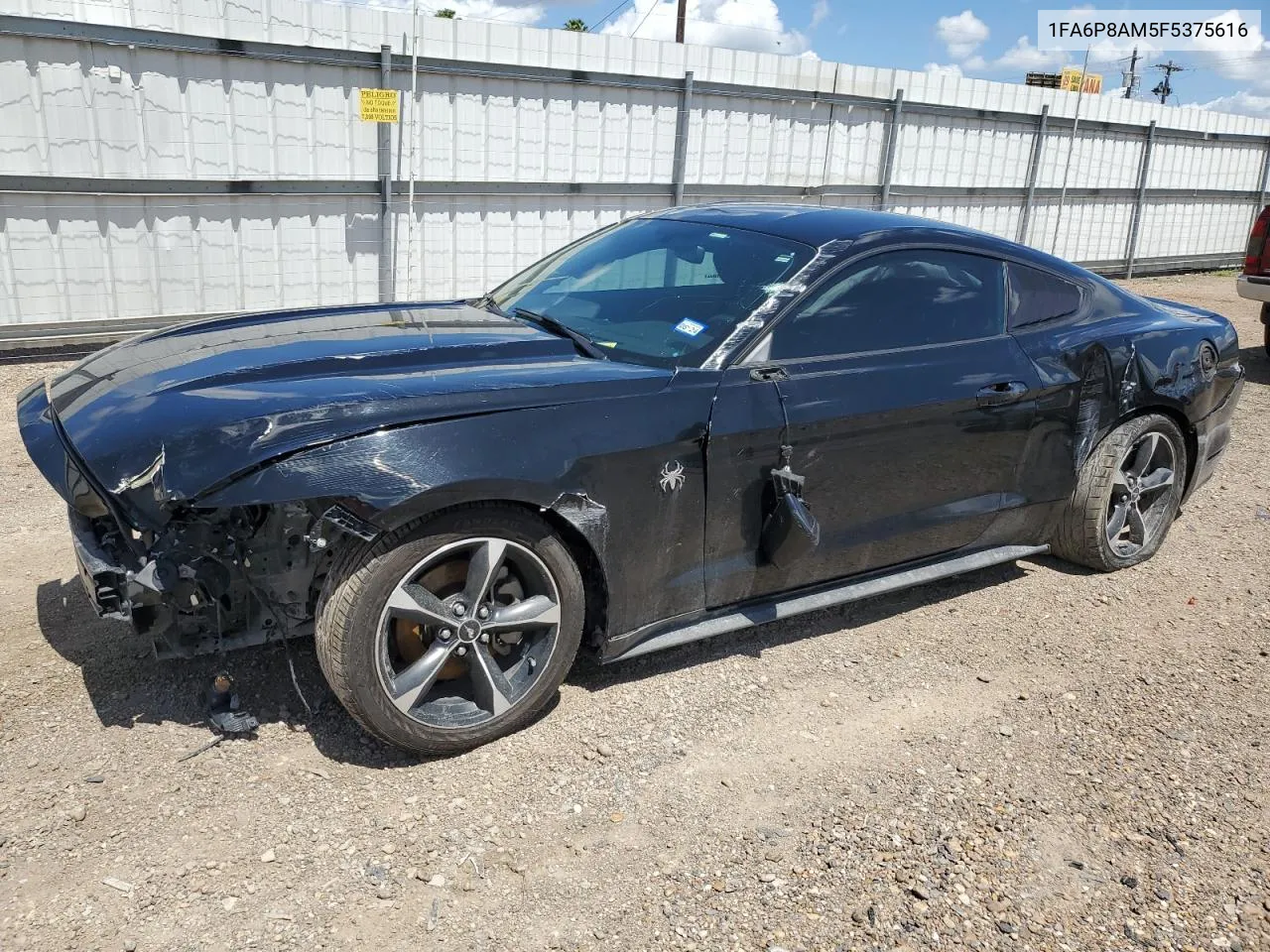 2015 Ford Mustang VIN: 1FA6P8AM5F5375616 Lot: 60511194