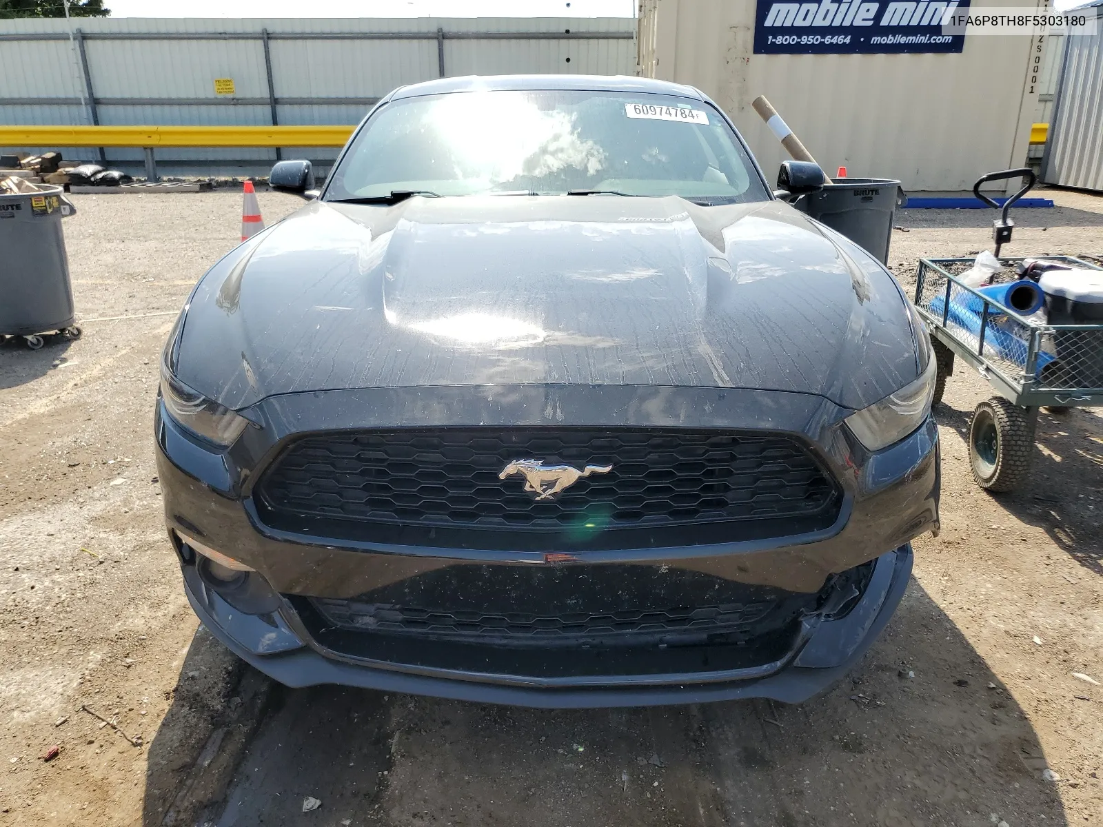 2015 Ford Mustang VIN: 1FA6P8TH8F5303180 Lot: 60974784