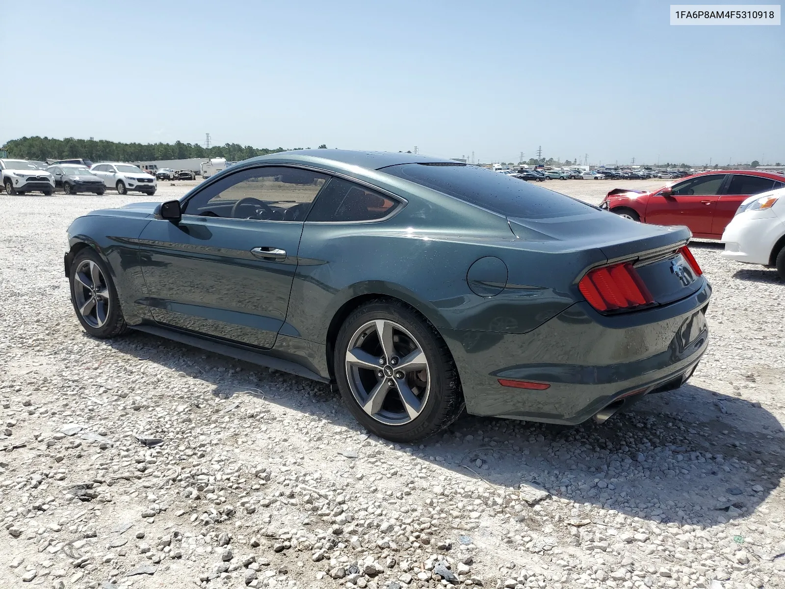 2015 Ford Mustang VIN: 1FA6P8AM4F5310918 Lot: 61108414