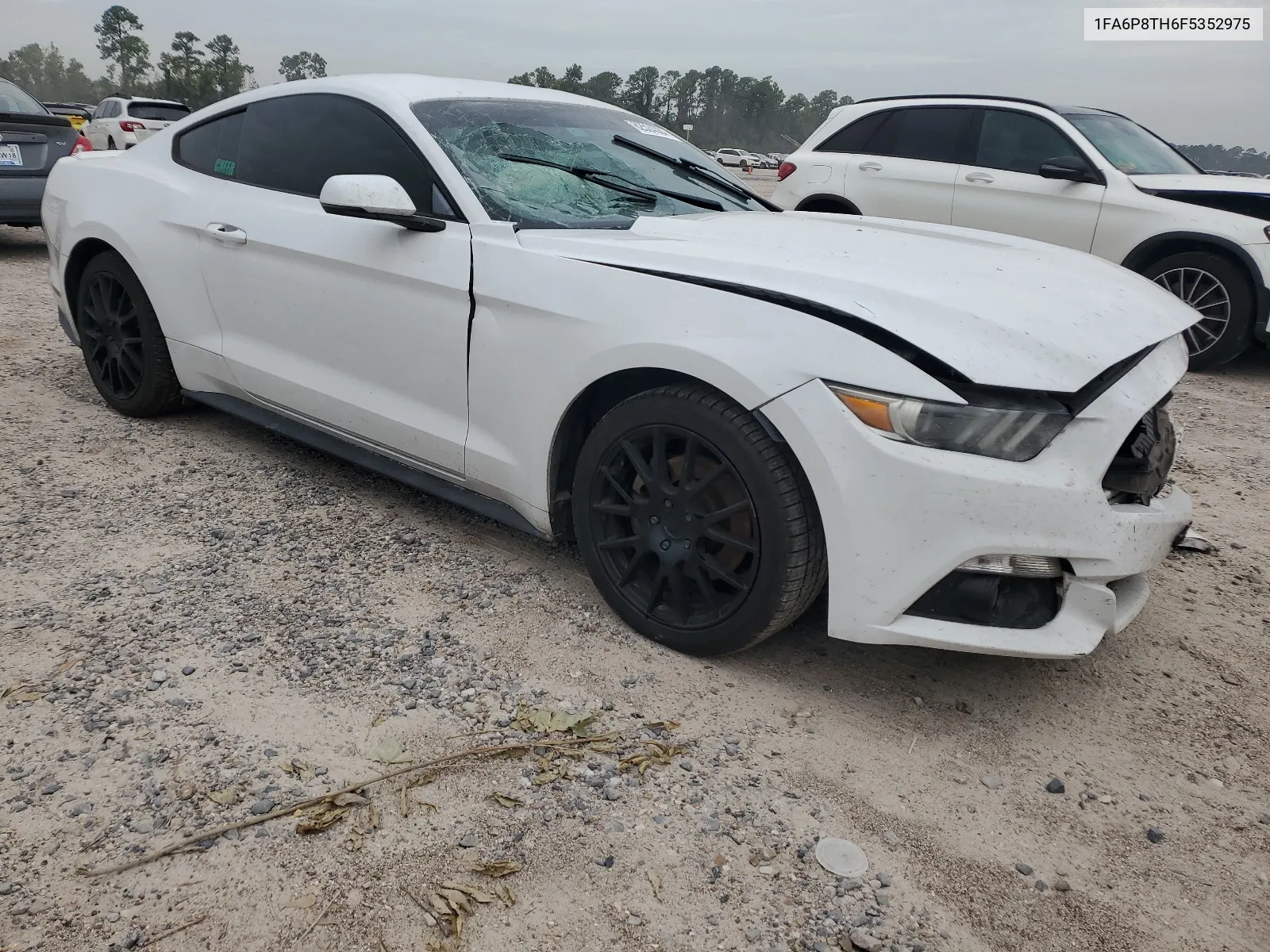 2015 Ford Mustang VIN: 1FA6P8TH6F5352975 Lot: 62524384