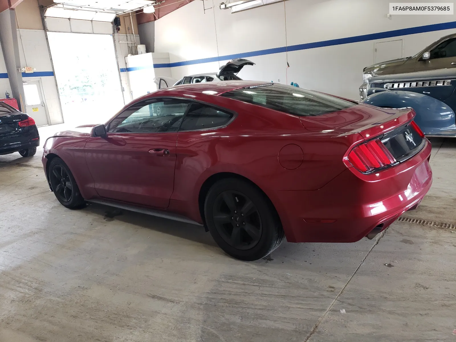 2015 Ford Mustang VIN: 1FA6P8AM0F5379685 Lot: 64047794