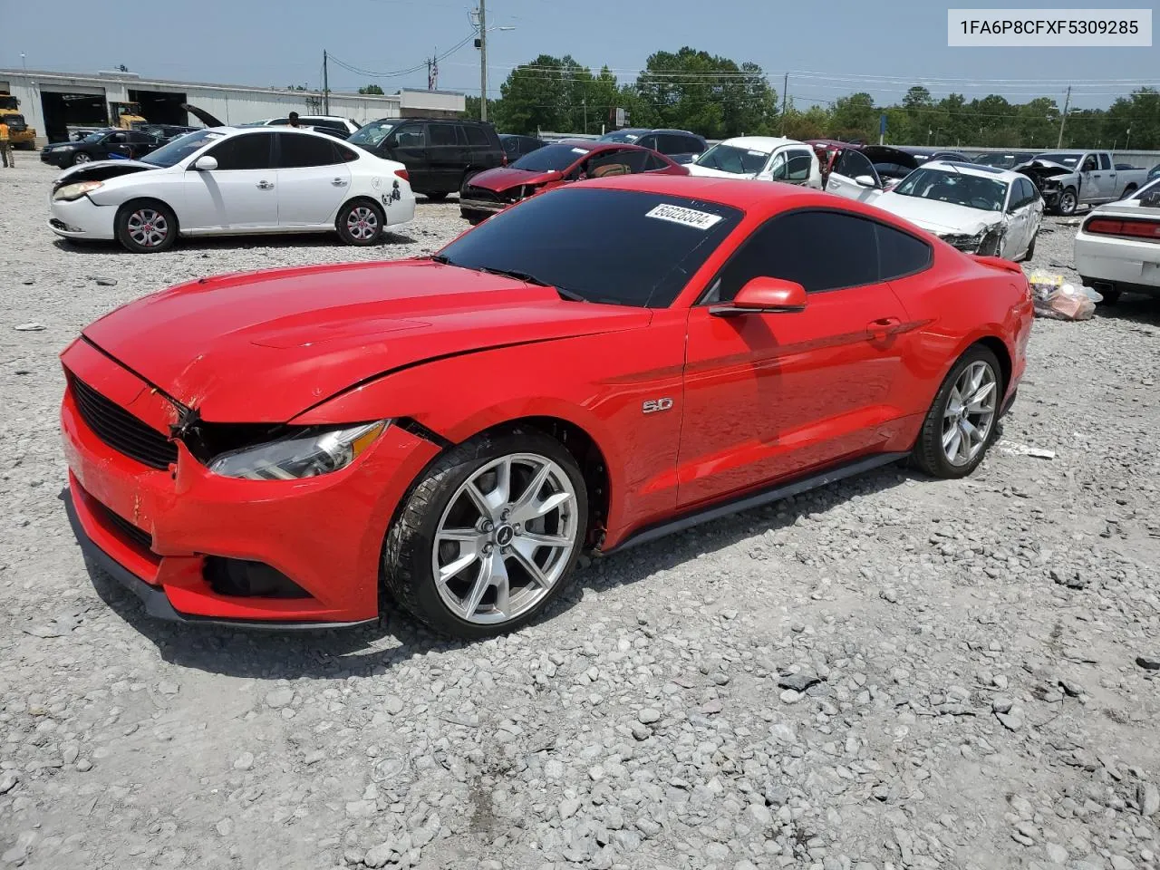 2015 Ford Mustang Gt VIN: 1FA6P8CFXF5309285 Lot: 66028604