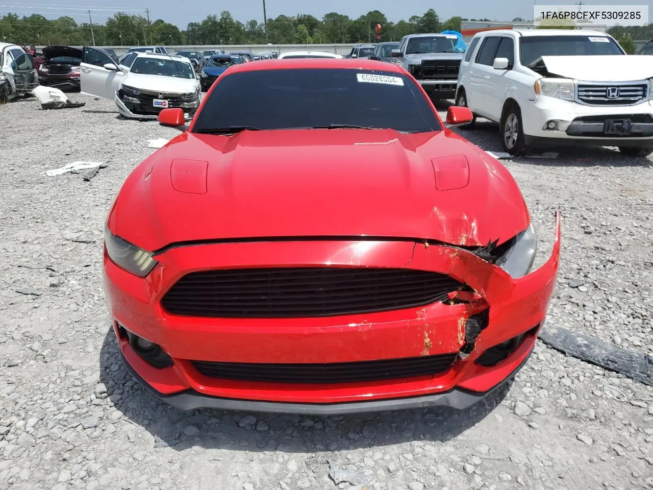 2015 Ford Mustang Gt VIN: 1FA6P8CFXF5309285 Lot: 66028604