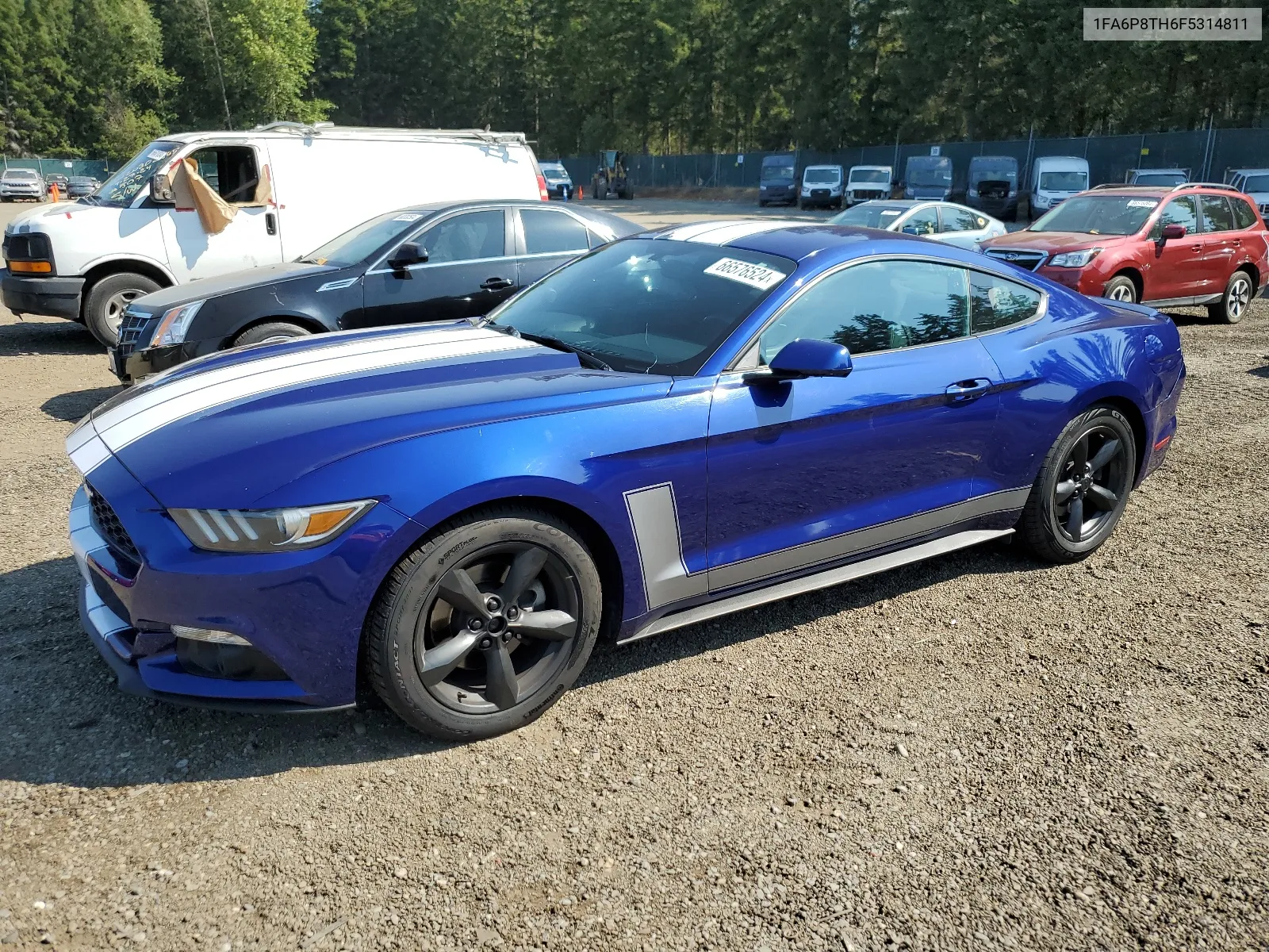 2015 Ford Mustang VIN: 1FA6P8TH6F5314811 Lot: 66576524