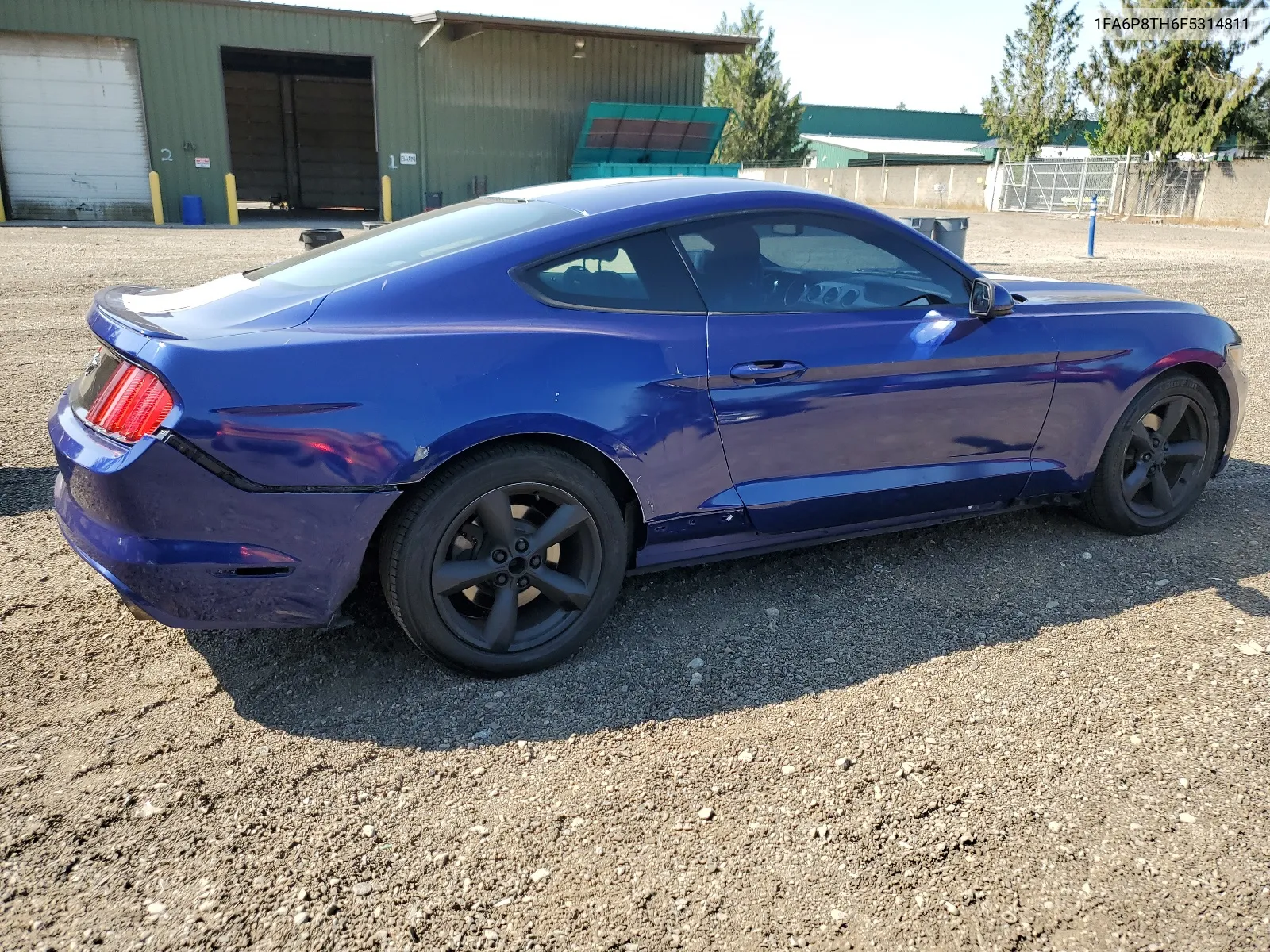 2015 Ford Mustang VIN: 1FA6P8TH6F5314811 Lot: 66576524