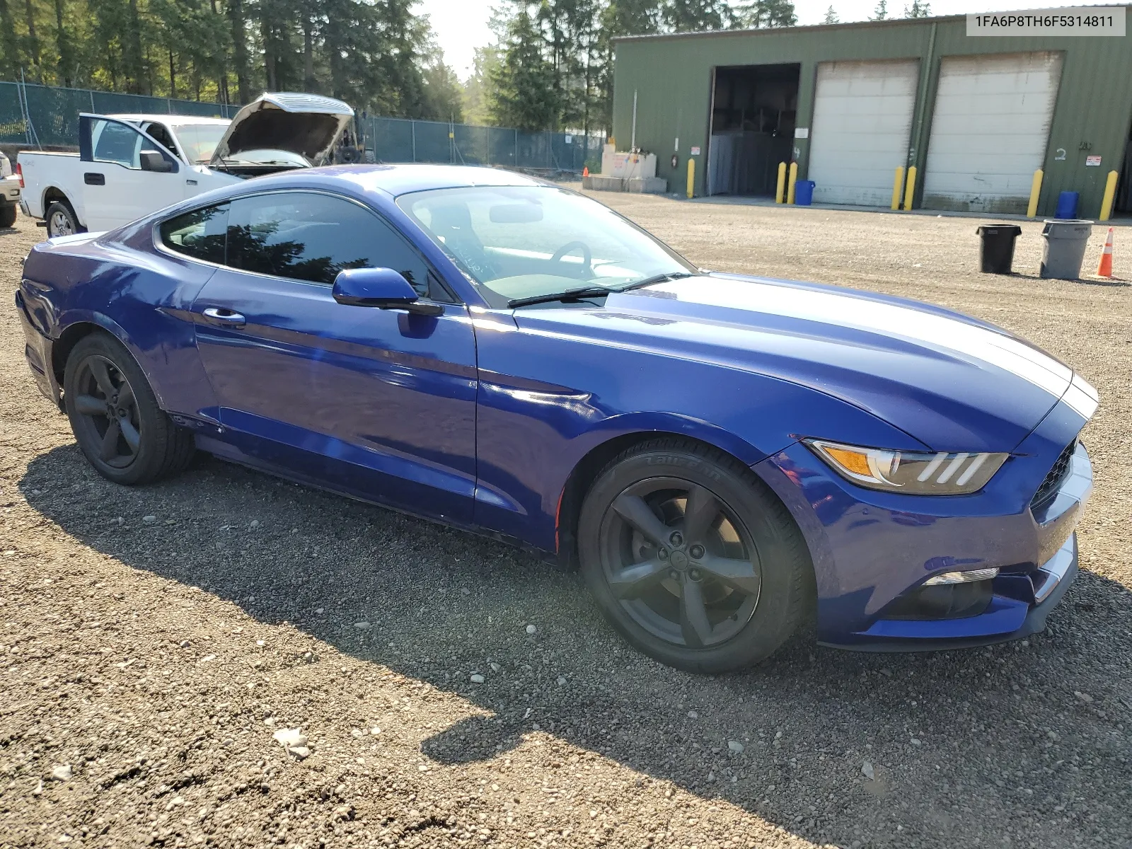 2015 Ford Mustang VIN: 1FA6P8TH6F5314811 Lot: 66576524