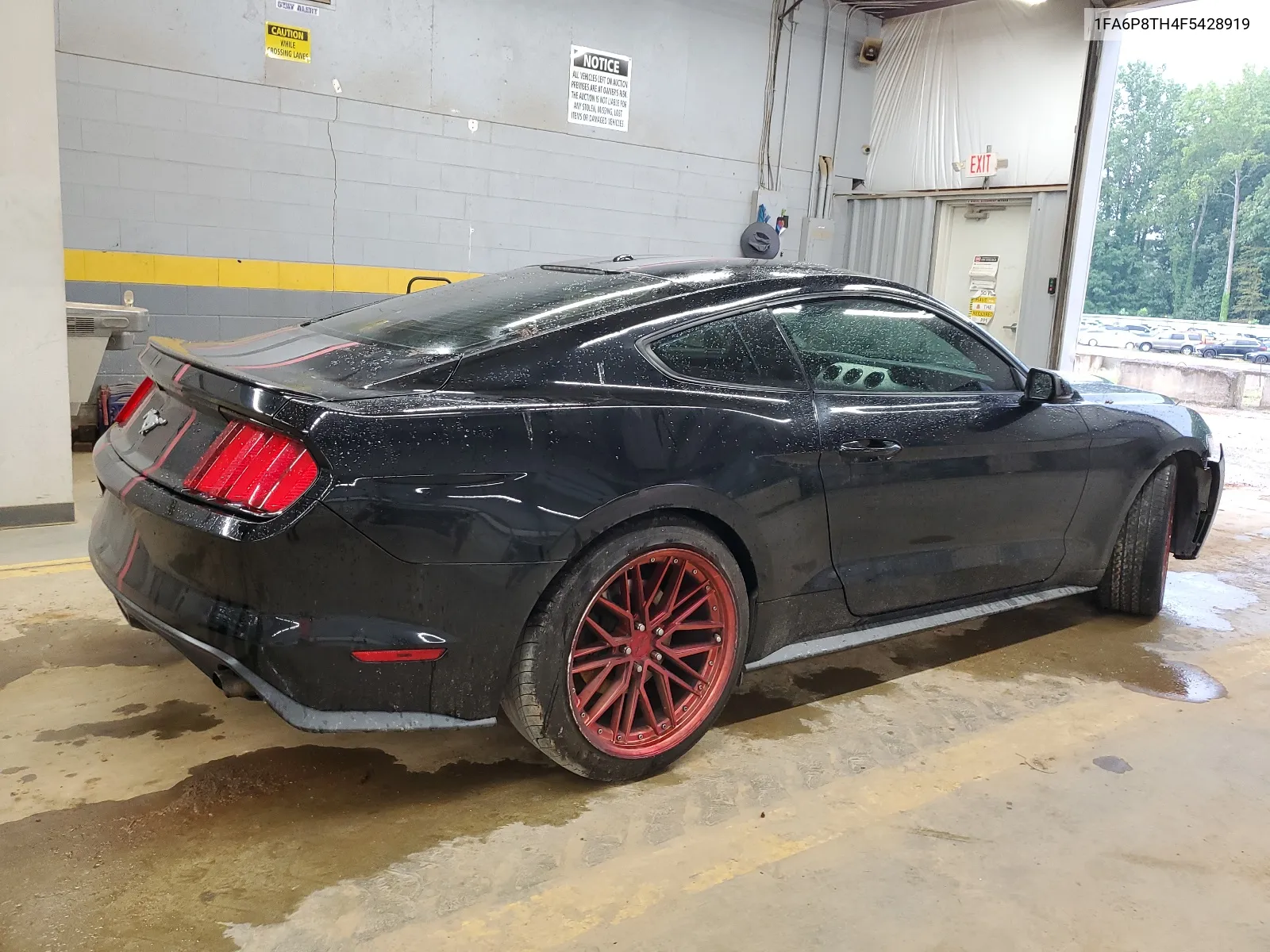 2015 Ford Mustang VIN: 1FA6P8TH4F5428919 Lot: 66799454