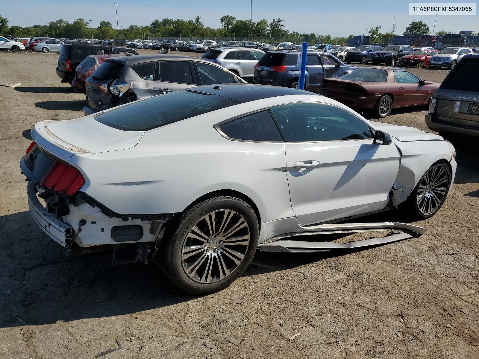 2015 Ford Mustang Gt VIN: 1FA6P8CFXF5347065 Lot: 66896444