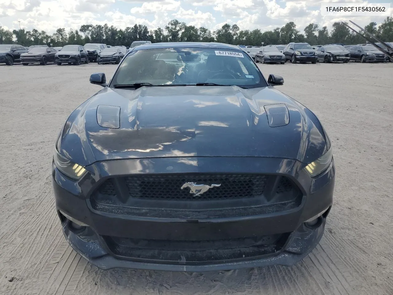 2015 Ford Mustang Gt VIN: 1FA6P8CF1F5430562 Lot: 67718554