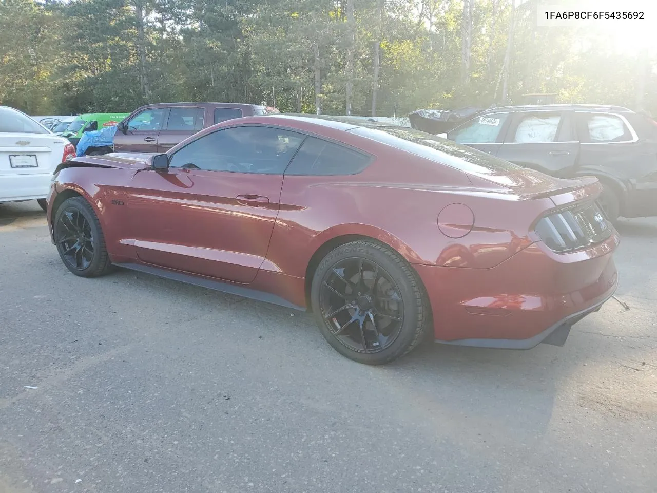 2015 Ford Mustang Gt VIN: 1FA6P8CF6F5435692 Lot: 69525844