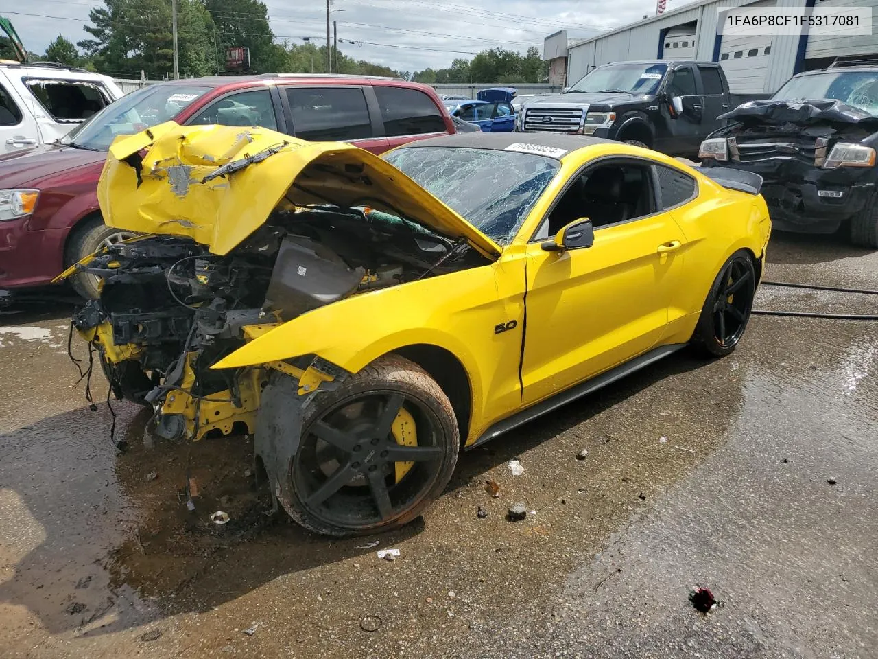 2015 Ford Mustang Gt VIN: 1FA6P8CF1F5317081 Lot: 70668824