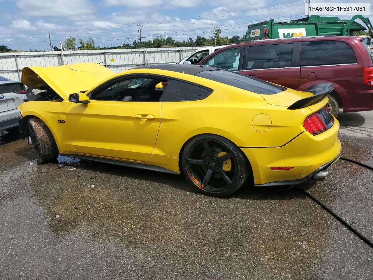 2015 Ford Mustang Gt VIN: 1FA6P8CF1F5317081 Lot: 70668824