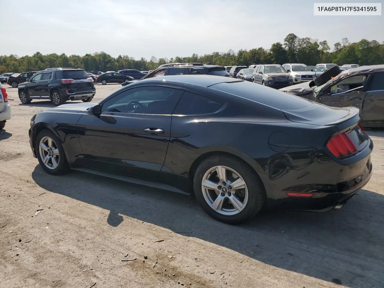 2015 Ford Mustang VIN: 1FA6P8TH7F5341595 Lot: 71066024