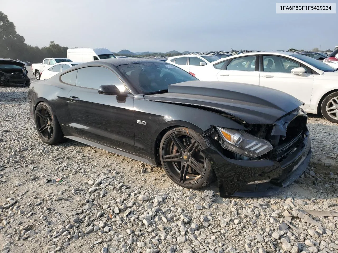 2015 Ford Mustang Gt VIN: 1FA6P8CF1F5429234 Lot: 71118804