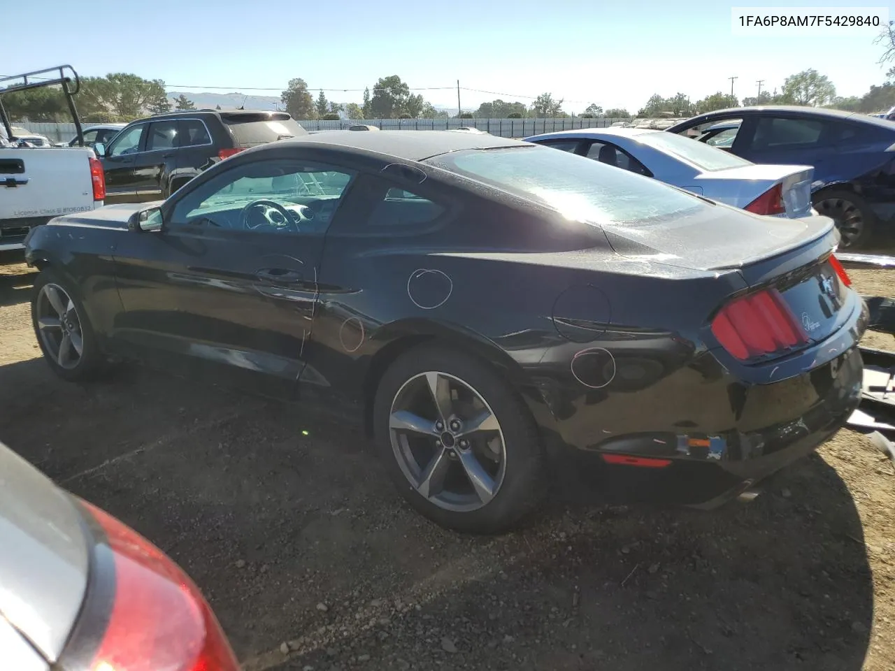 2015 Ford Mustang VIN: 1FA6P8AM7F5429840 Lot: 73288694