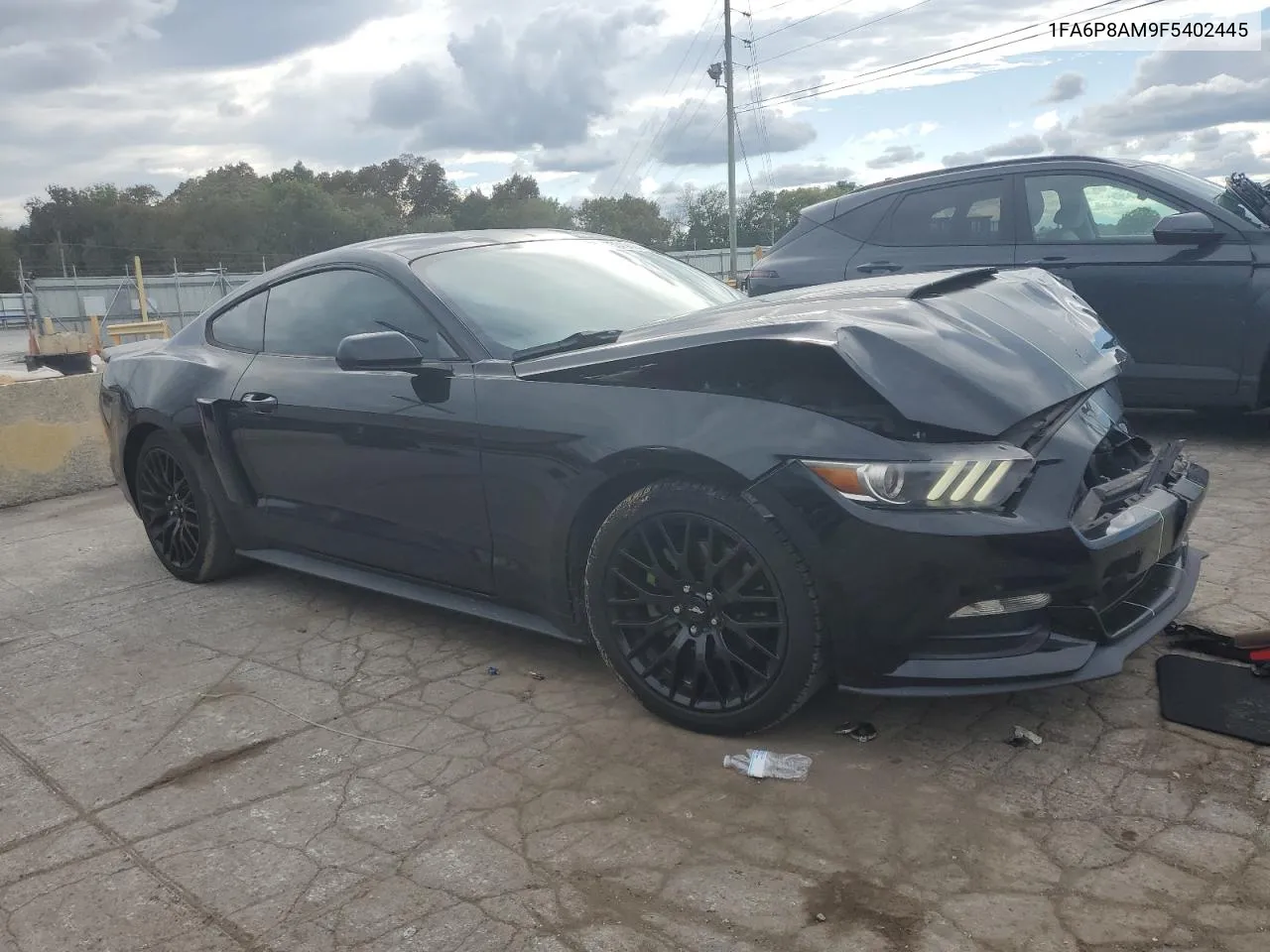 2015 Ford Mustang VIN: 1FA6P8AM9F5402445 Lot: 73349424