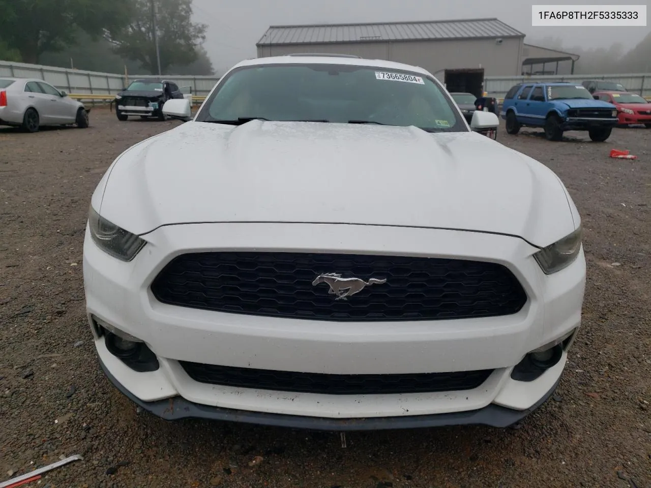 2015 Ford Mustang VIN: 1FA6P8TH2F5335333 Lot: 73665804