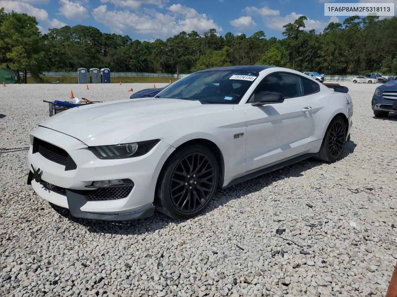 2015 Ford Mustang VIN: 1FA6P8AM2F5318113 Lot: 73724134