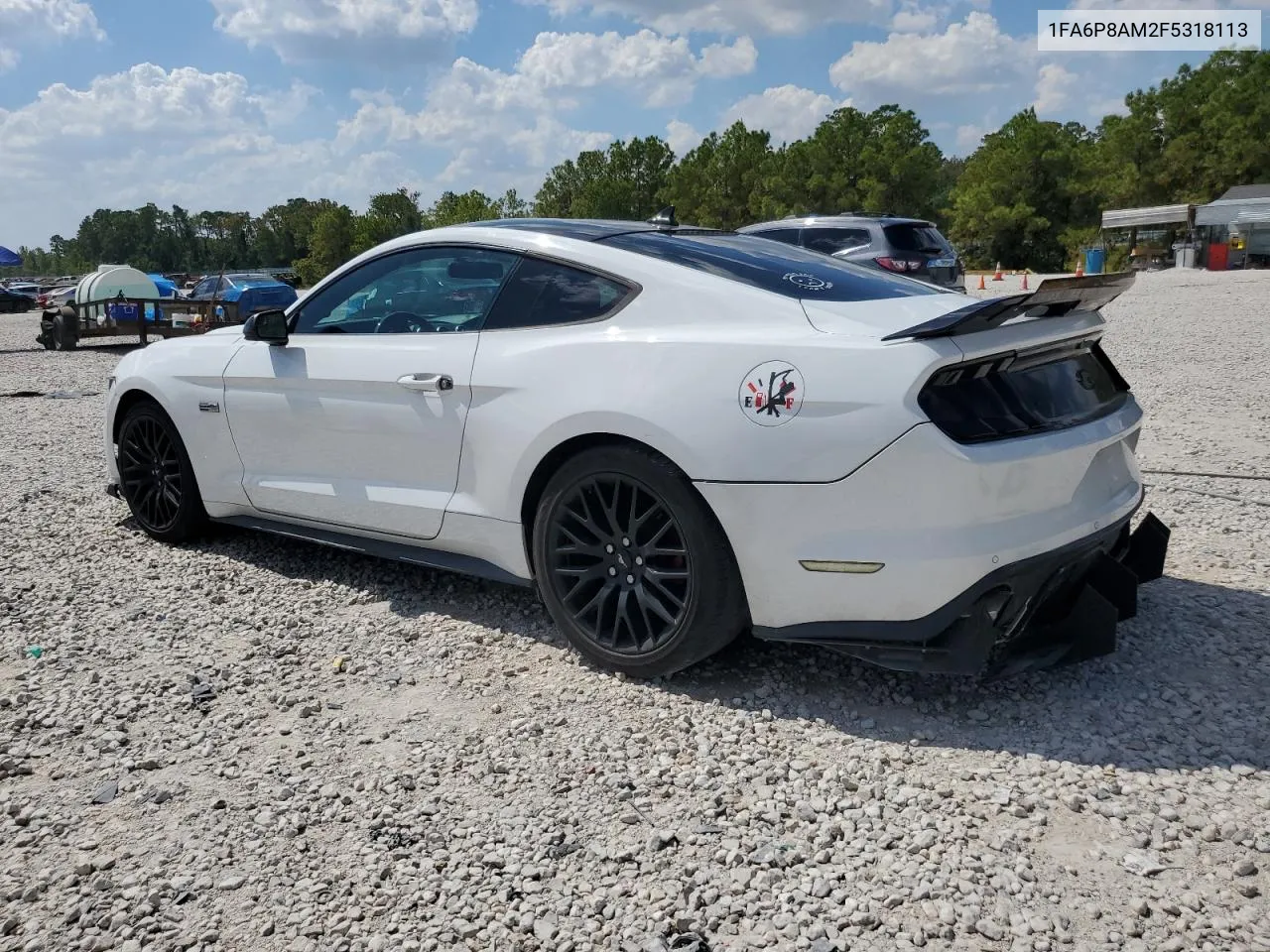 2015 Ford Mustang VIN: 1FA6P8AM2F5318113 Lot: 73724134