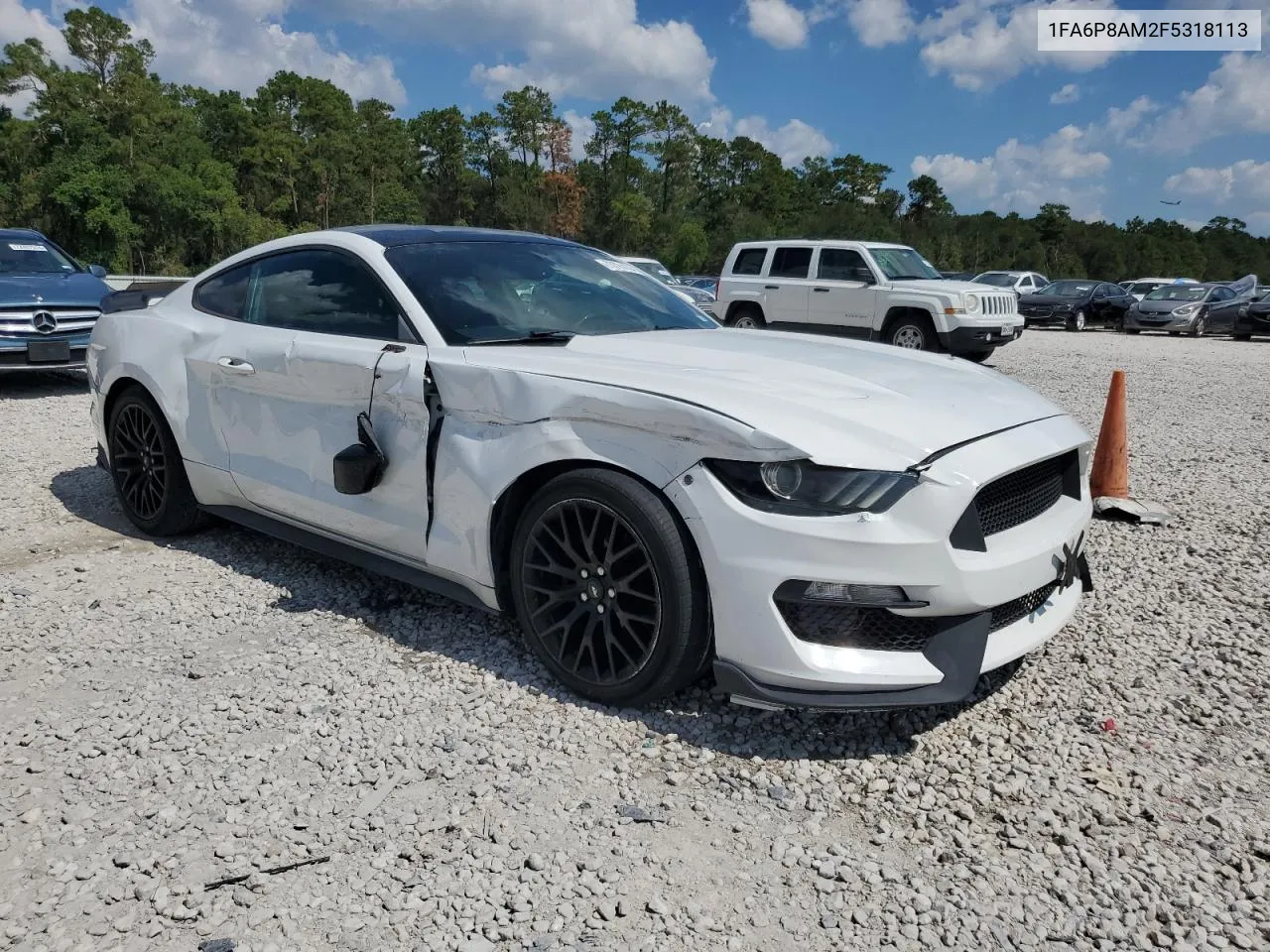 2015 Ford Mustang VIN: 1FA6P8AM2F5318113 Lot: 73724134