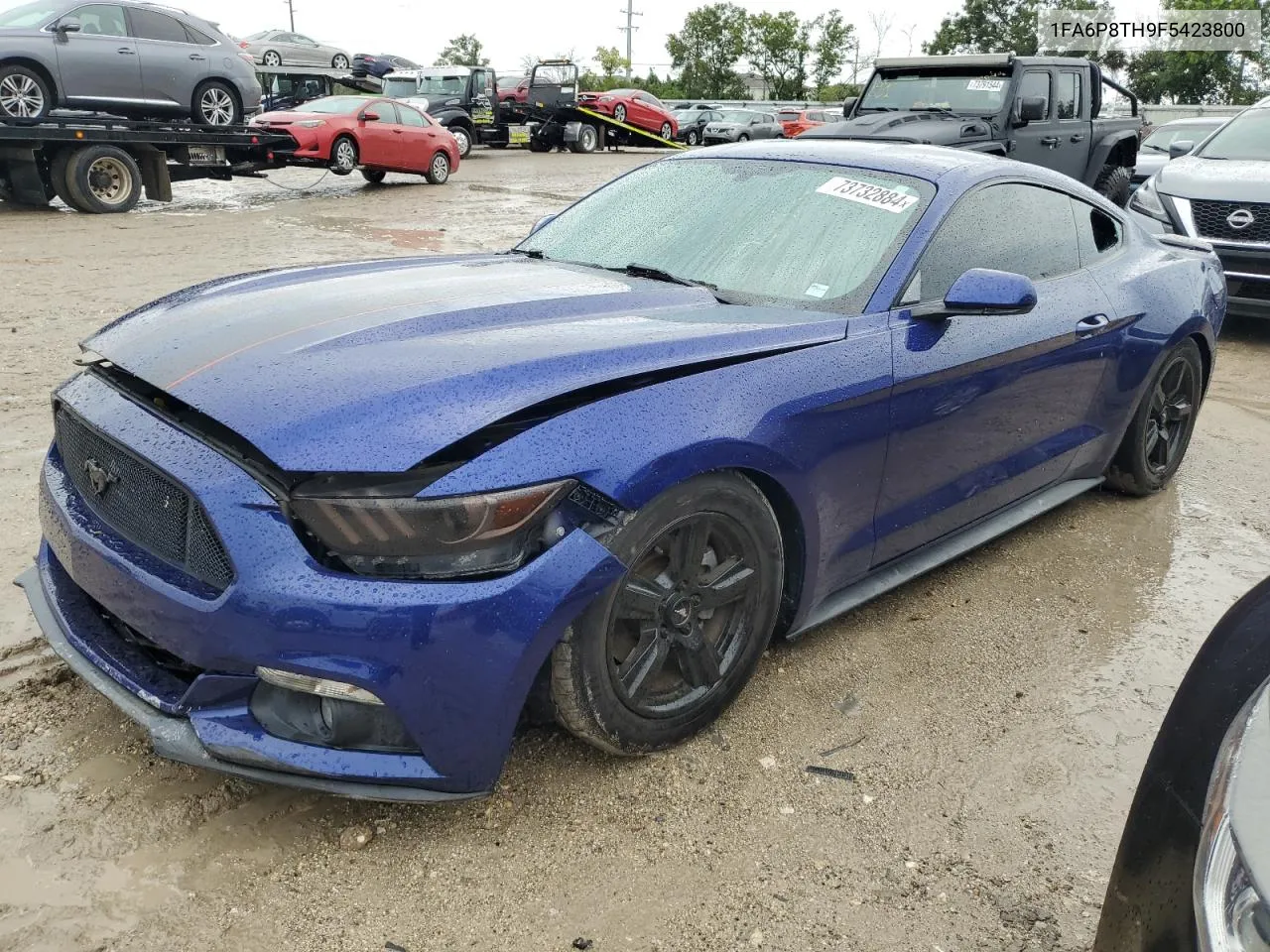 2015 Ford Mustang VIN: 1FA6P8TH9F5423800 Lot: 73732884