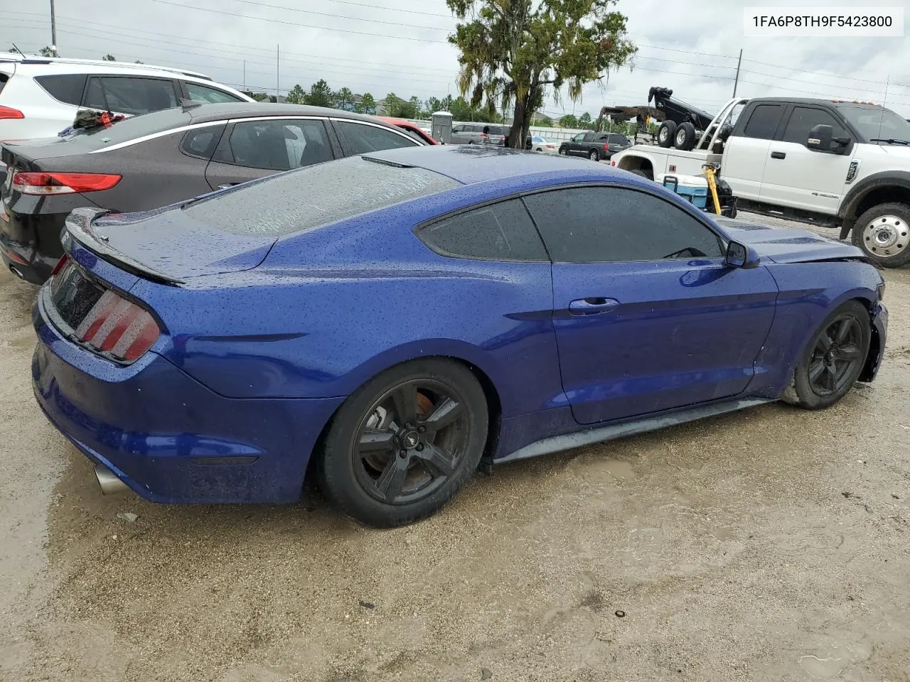 2015 Ford Mustang VIN: 1FA6P8TH9F5423800 Lot: 73732884