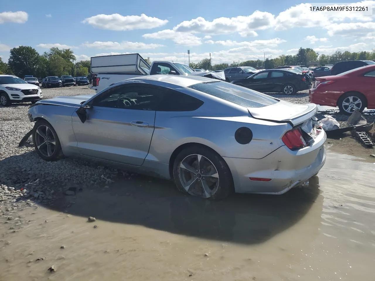 2015 Ford Mustang VIN: 1FA6P8AM9F5312261 Lot: 73961674