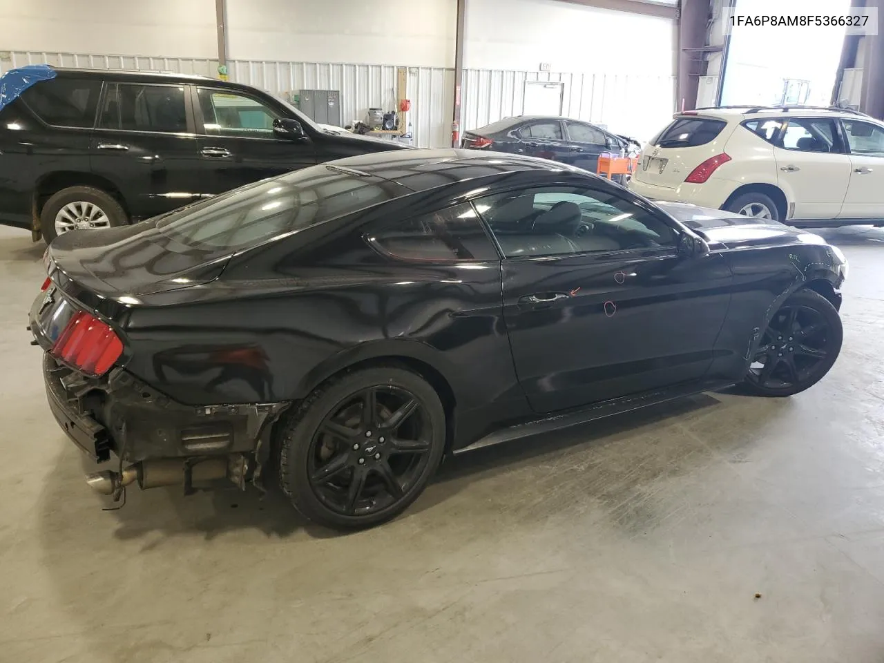 2015 Ford Mustang VIN: 1FA6P8AM8F5366327 Lot: 74041224