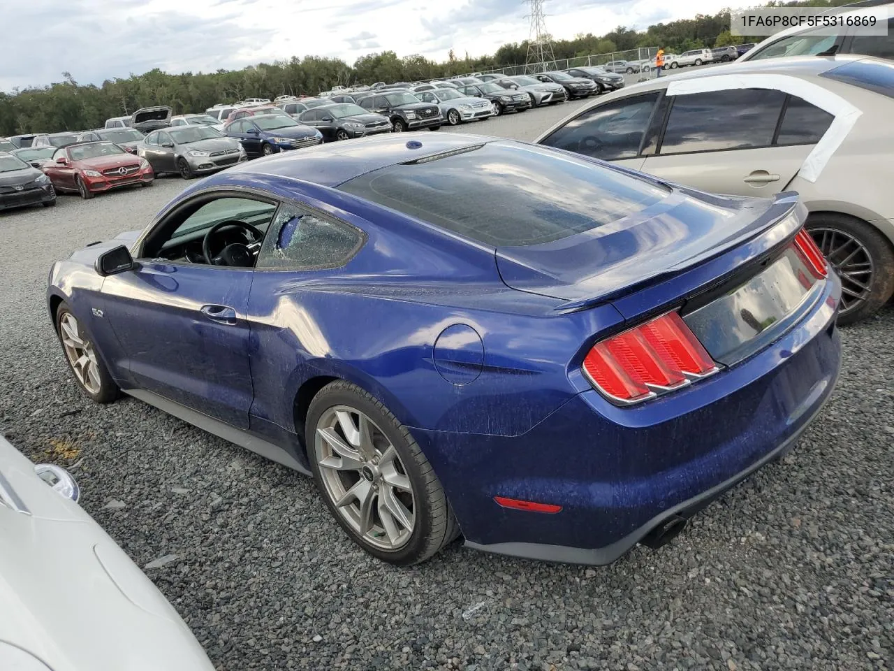 2015 Ford Mustang Gt VIN: 1FA6P8CF5F5316869 Lot: 74190164