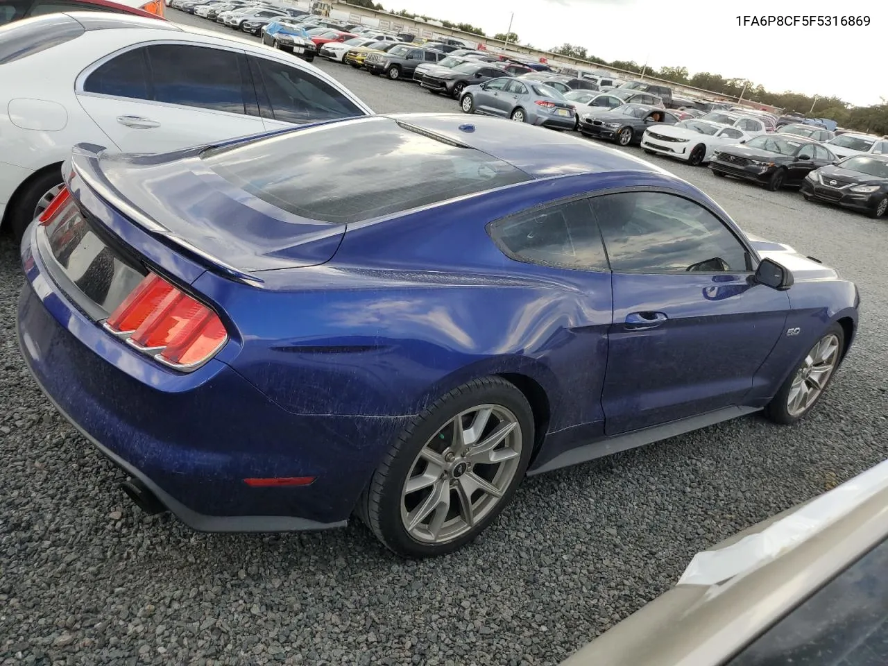 2015 Ford Mustang Gt VIN: 1FA6P8CF5F5316869 Lot: 74190164