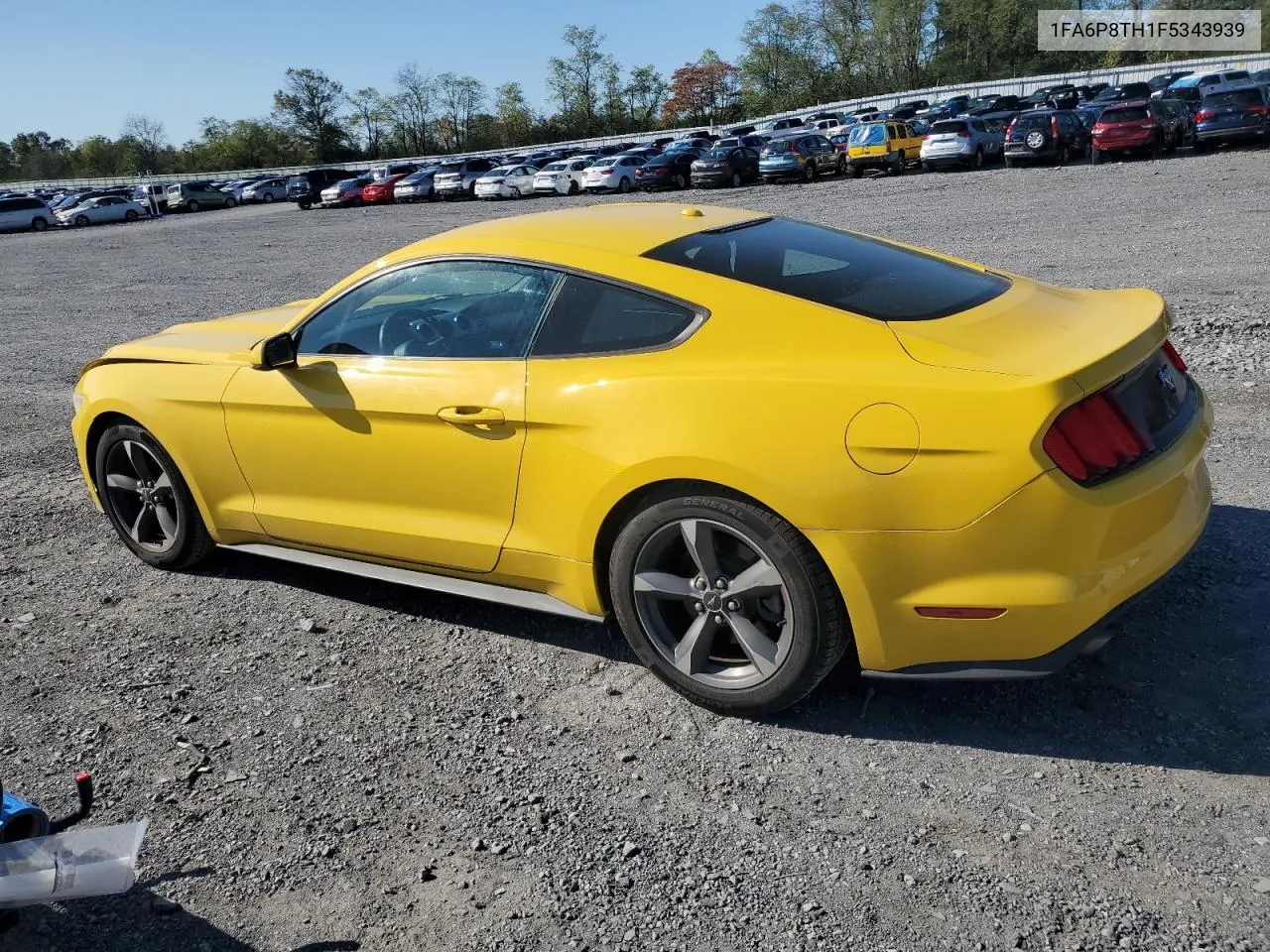 2015 Ford Mustang VIN: 1FA6P8TH1F5343939 Lot: 75185854