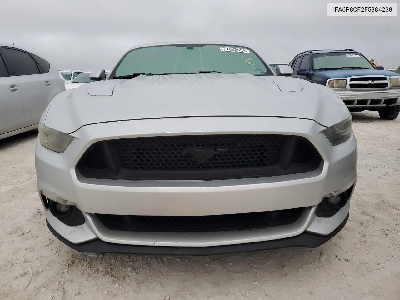 2015 Ford Mustang Gt VIN: 1FA6P8CF2F5384238 Lot: 77025854