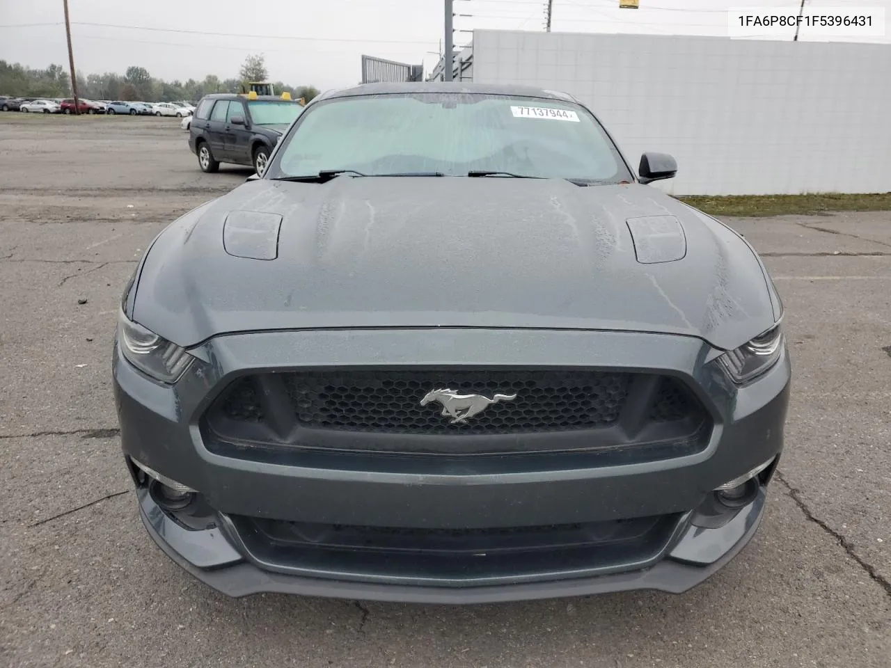 2015 Ford Mustang Gt VIN: 1FA6P8CF1F5396431 Lot: 77137944