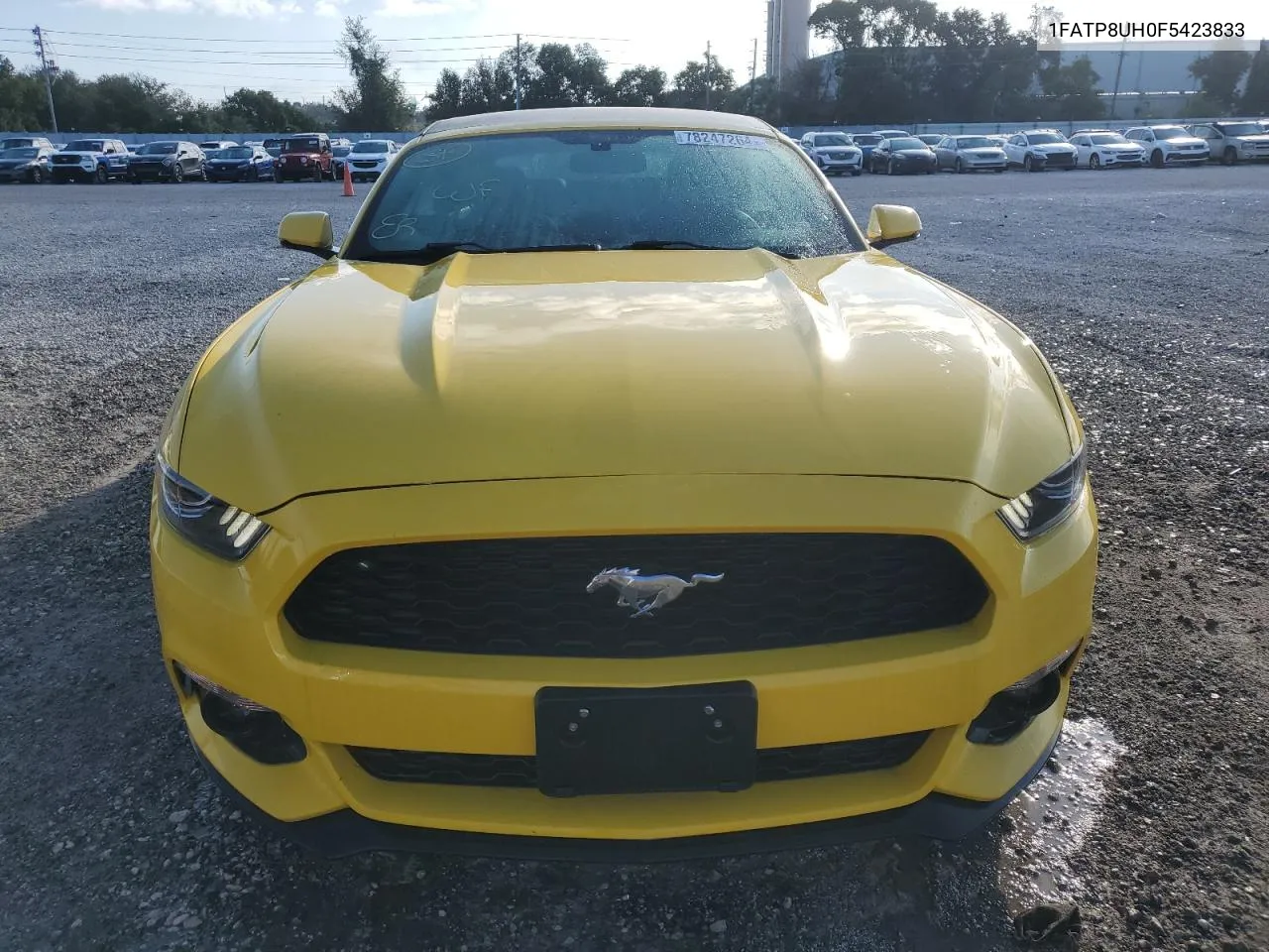 2015 Ford Mustang VIN: 1FATP8UH0F5423833 Lot: 78247264