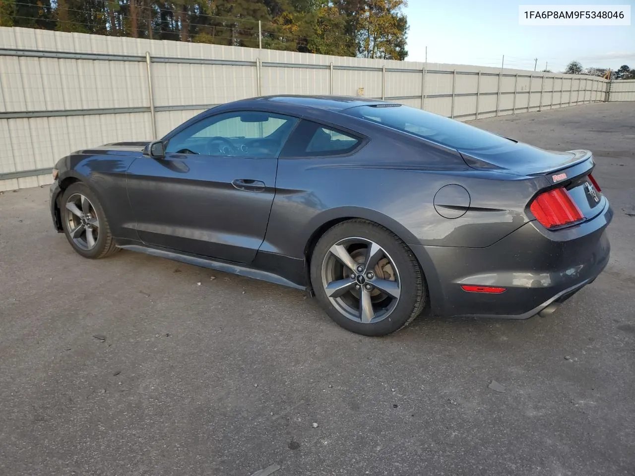 2015 Ford Mustang VIN: 1FA6P8AM9F5348046 Lot: 78740874