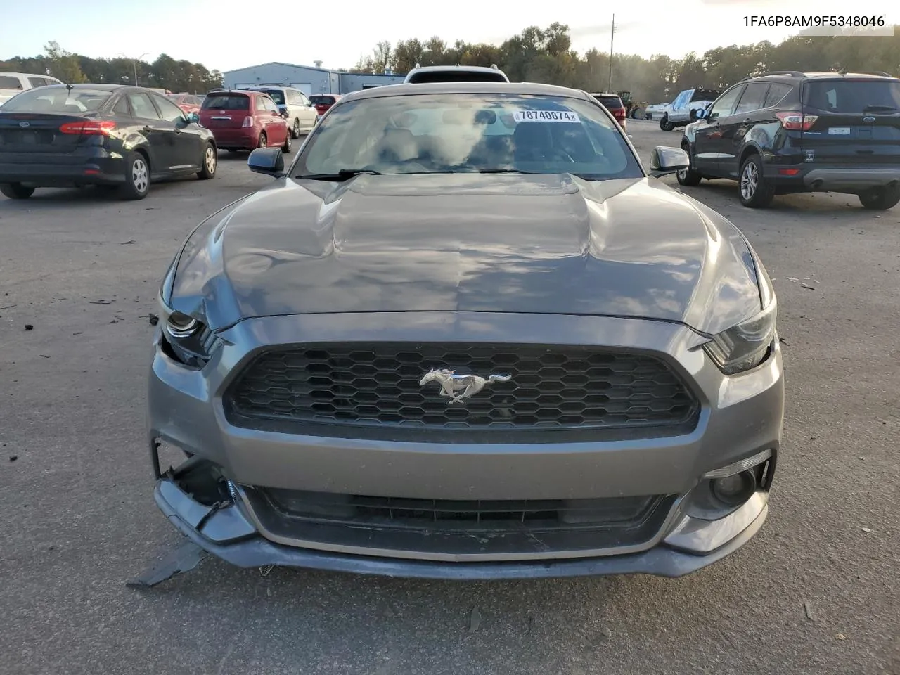 2015 Ford Mustang VIN: 1FA6P8AM9F5348046 Lot: 78740874